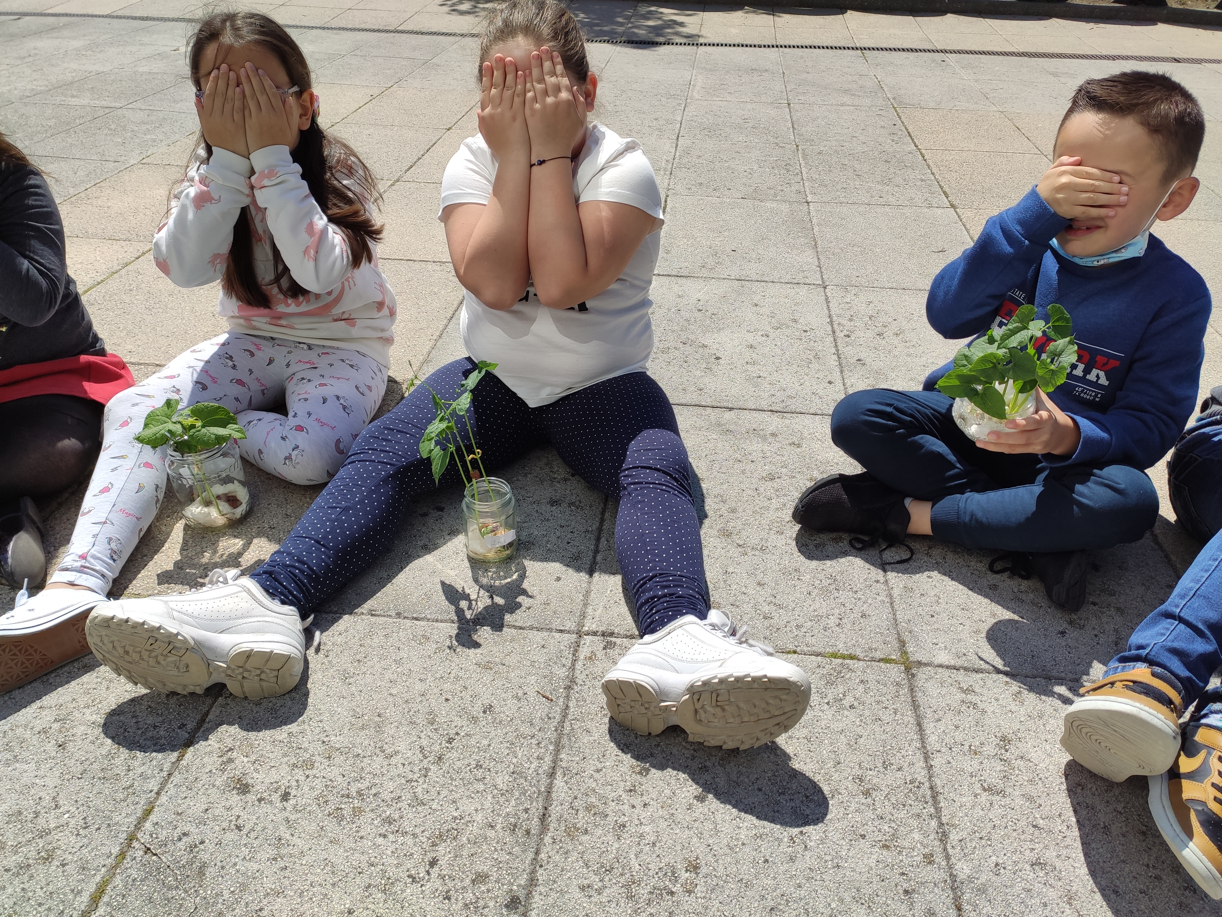 Os feijoeiros de cada um e a aula exterior sobre a composição das plantas.
