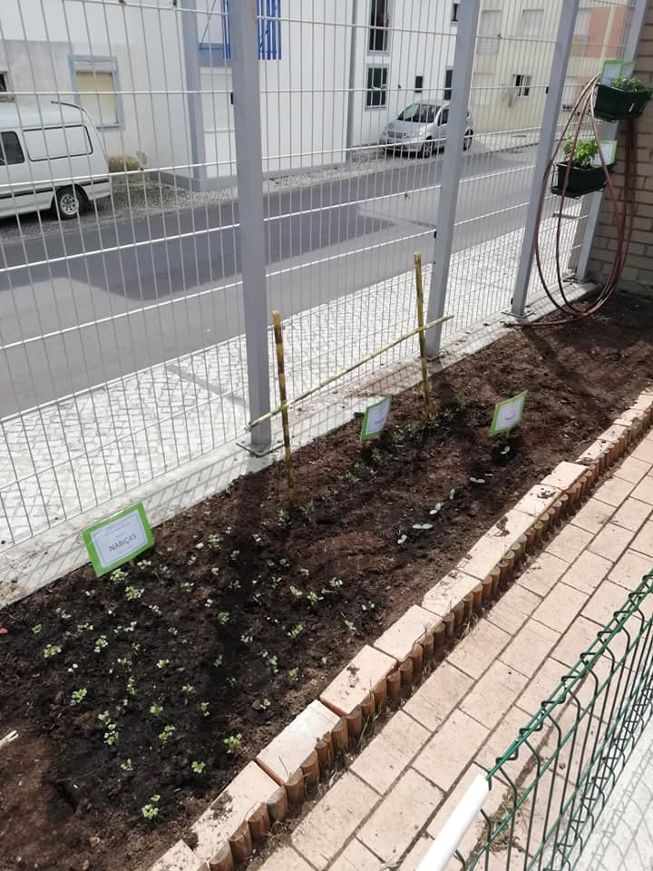 Nabiças