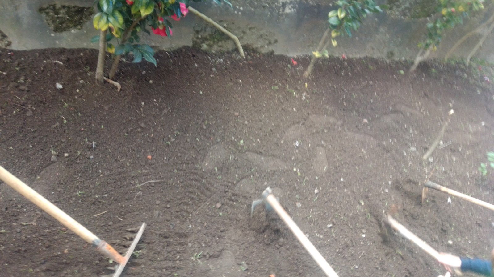 Preparação do terreno da horta pelos alunos da brigada eco-escolas e apoio de assistentes operacionais.