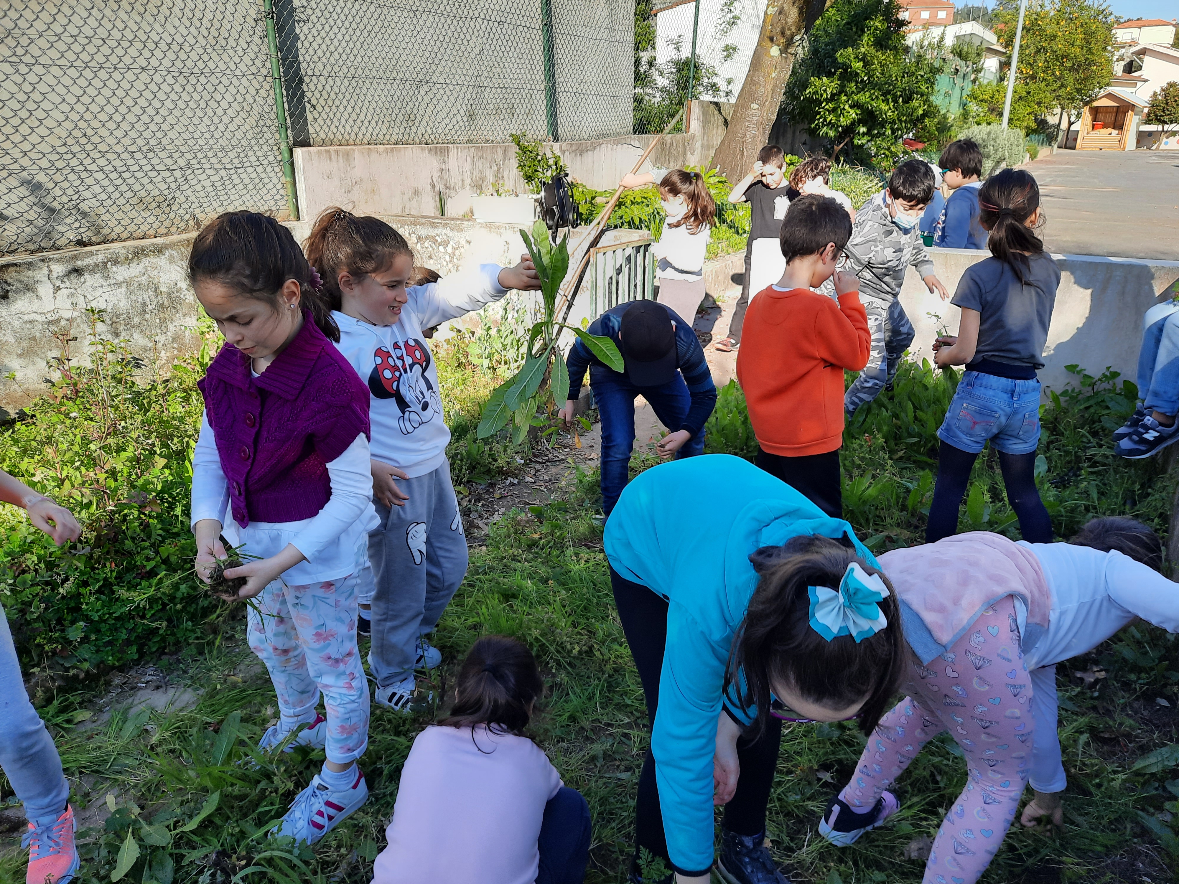 Terreno preparado- Turma do 3ºano