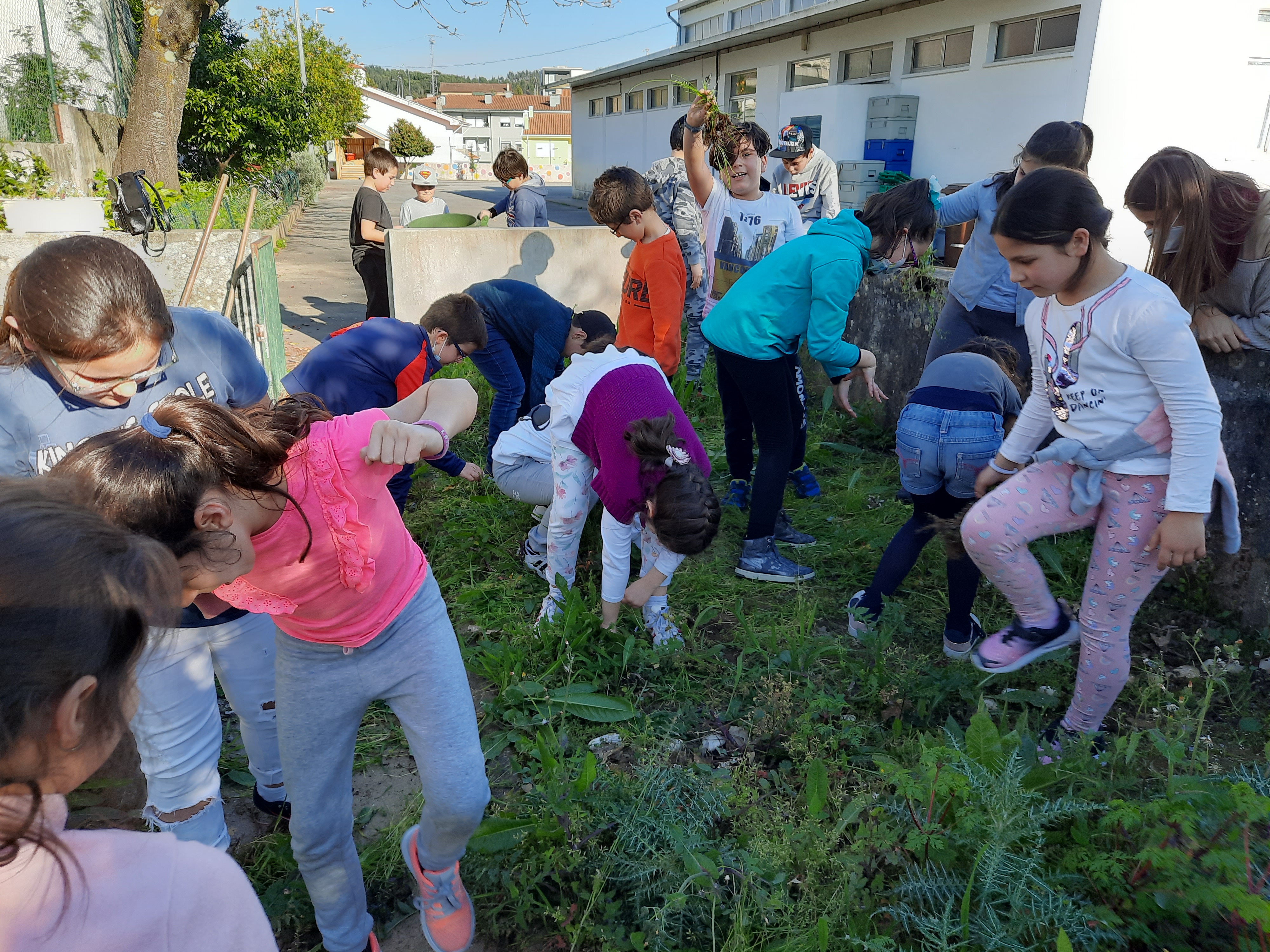 Turma do 3º ano- preparação do terreno