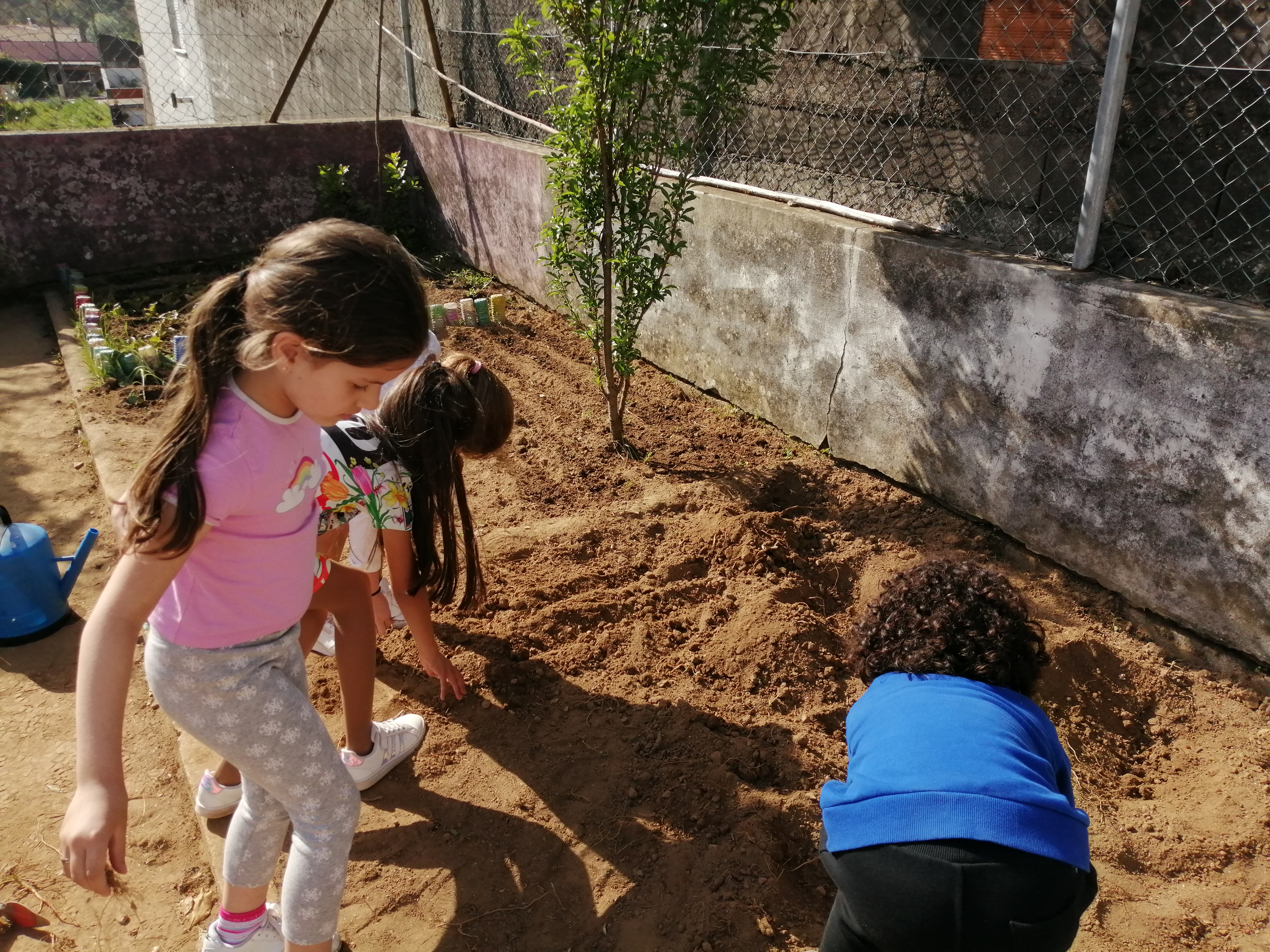 Turma do 2ºano - preparação da terra