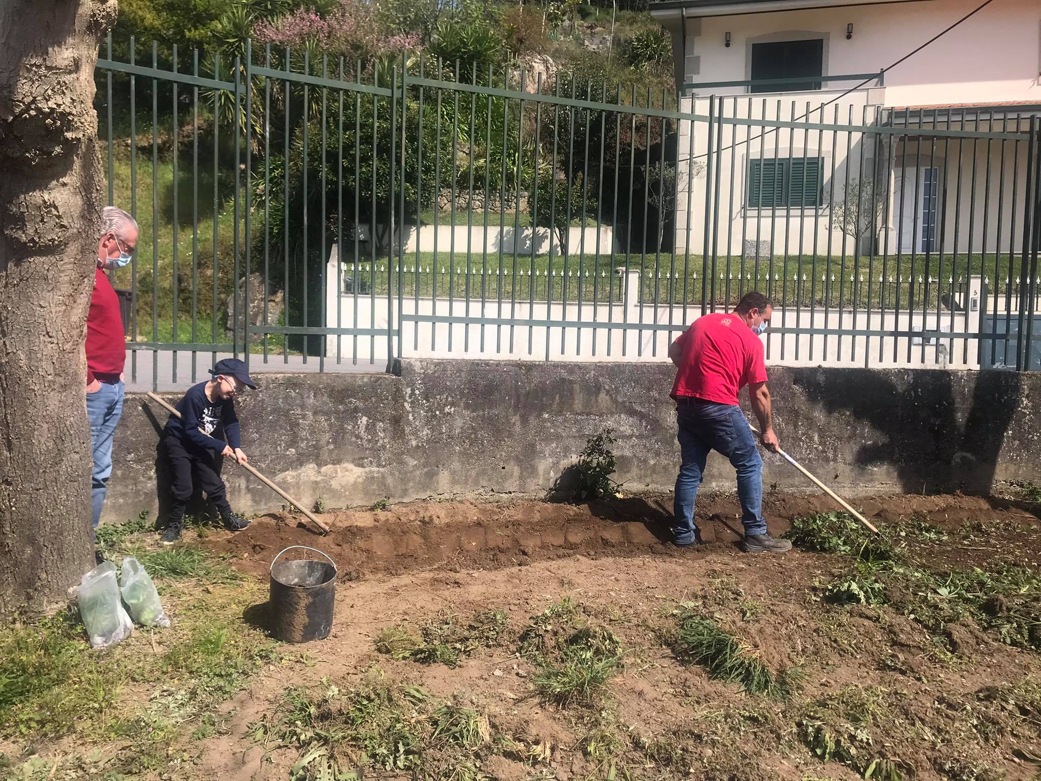 O André (aluno do 1º Ciclo com apoio da educação especial) e o seu pai (agricultor), preparando o terreno e o professor que dá apoio educativo a aprender como se faz.