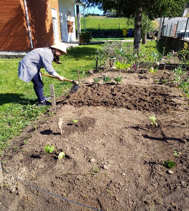 Preparando a terra