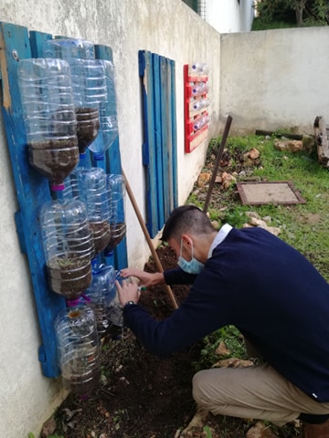 Na traseira da escola, foram reaproveitadas paletes e garrafões de plástico para servirem de estufas de legumes e de flores comestíveis. Um dos elementos da Equipa Green Team está a colocar as primeiras sementes nas estufas.