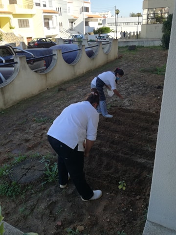 Duas alunas da equipa Green Team estiveram a semear favas e ervilhas.