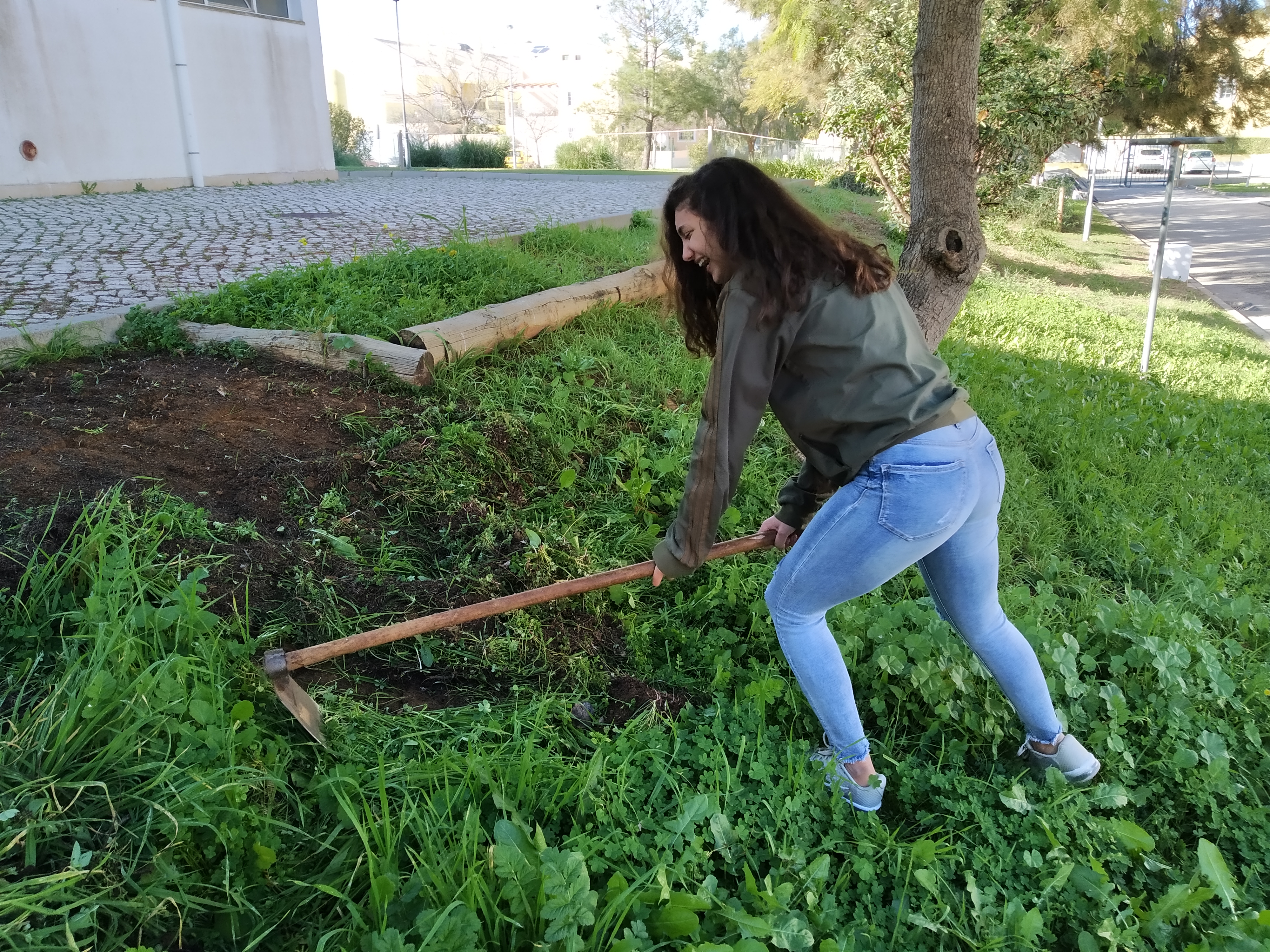 Preparação do terreno _ local 2