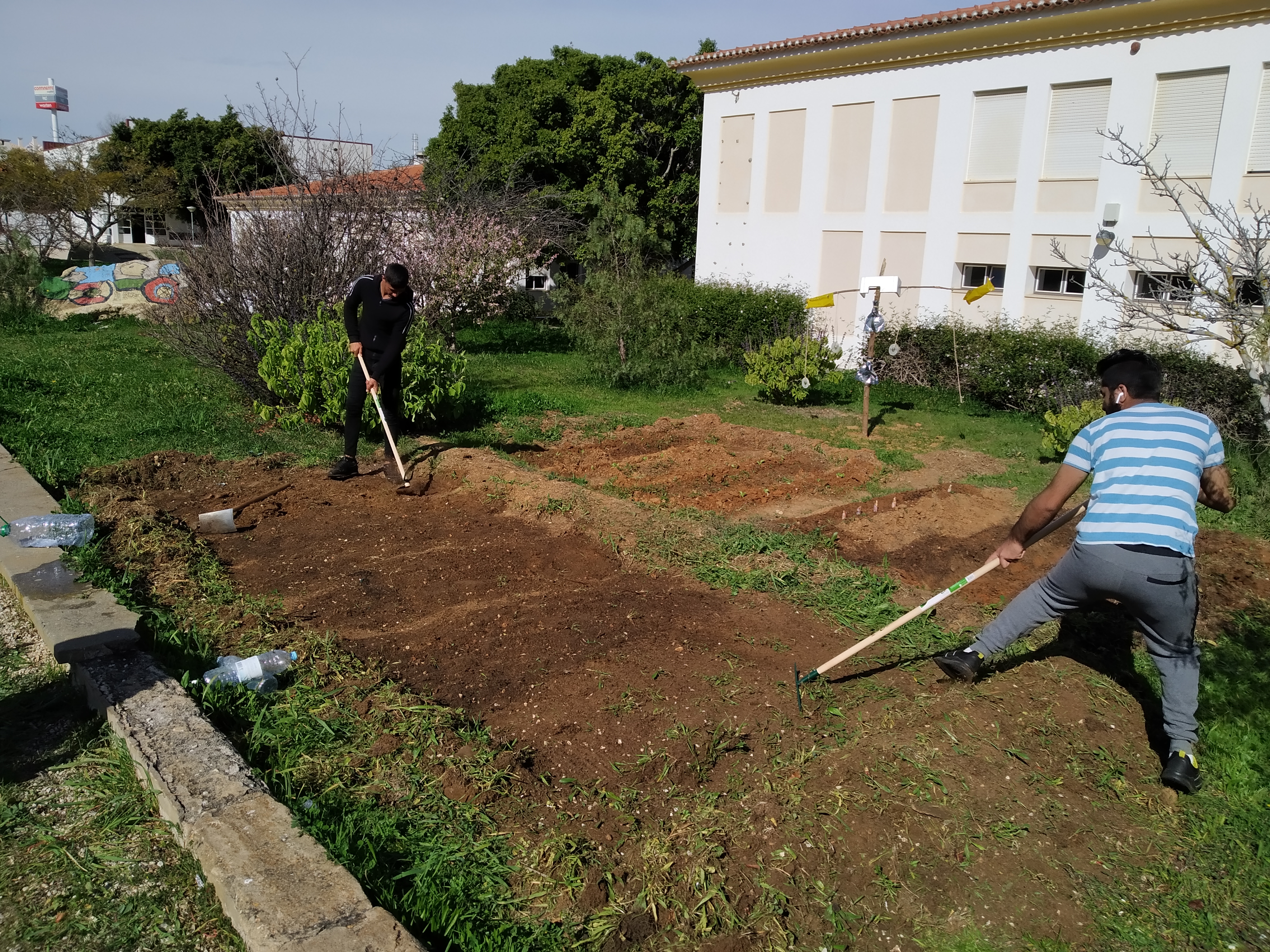 Preparação do terreno_ local 1