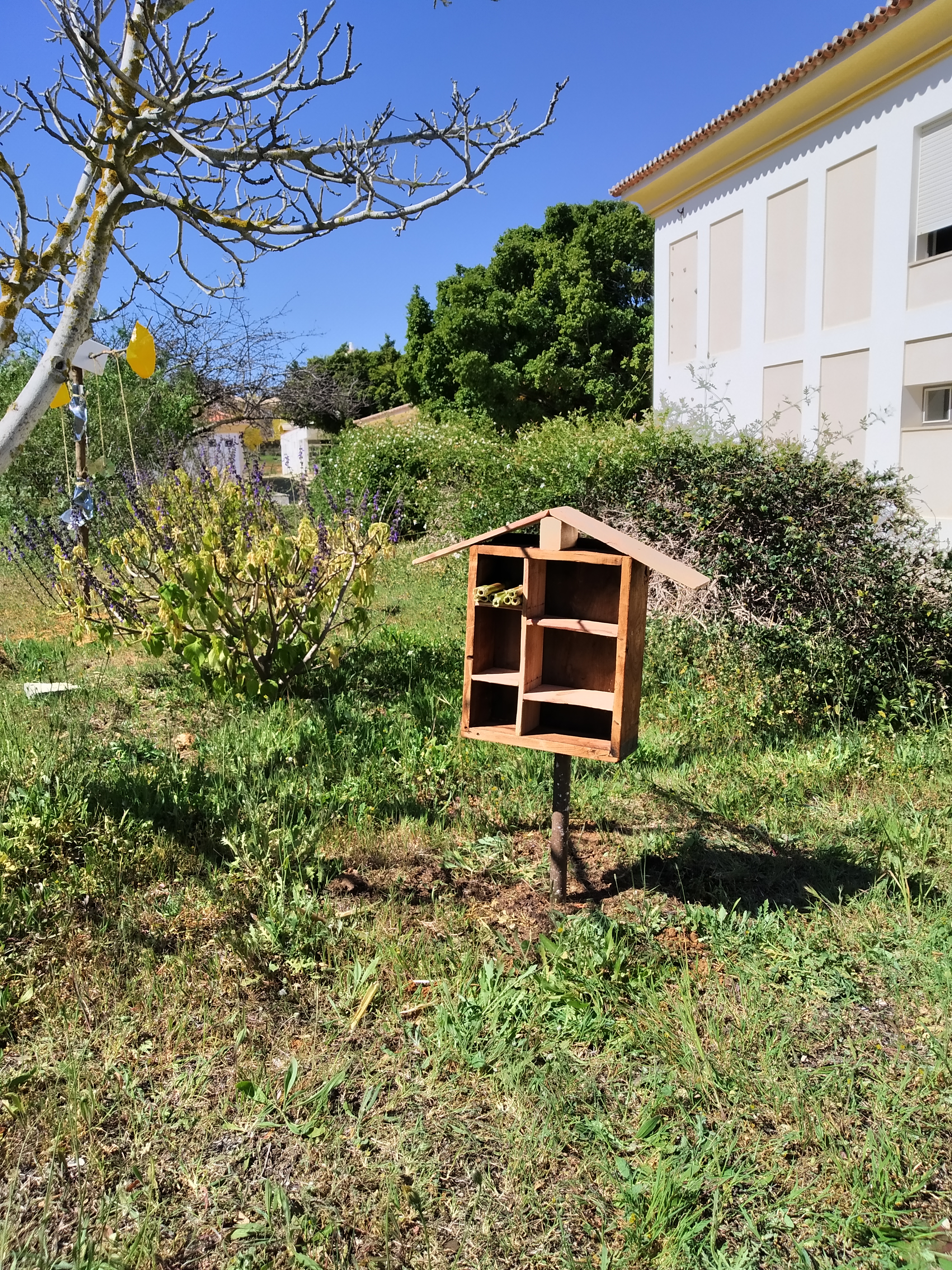 Instalação de casa para insetos polinizadores