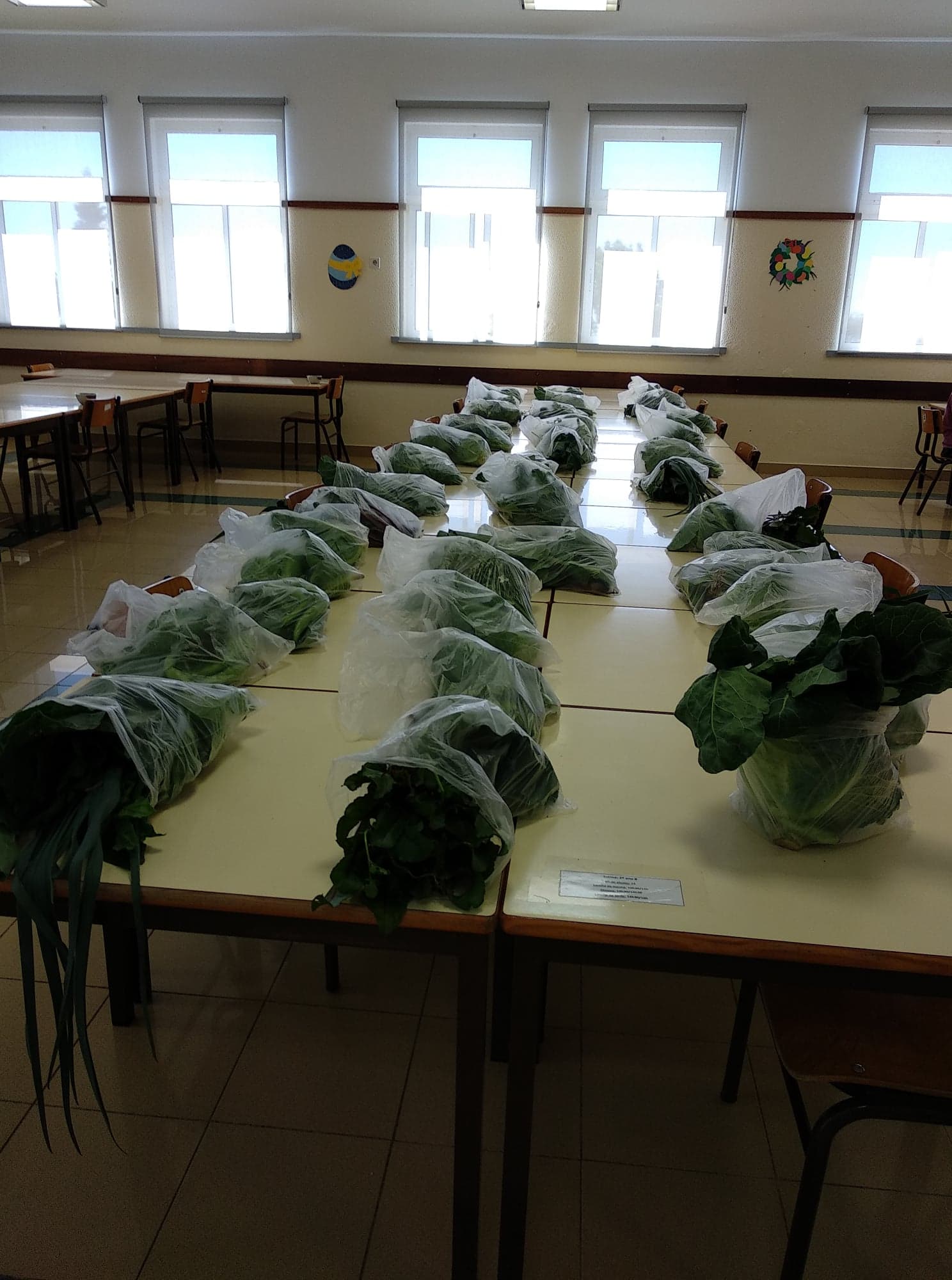 Legumes recolhidos na horta para oferecer a todos os alunos da escola, destinados à confeção de pratos saudáveis.