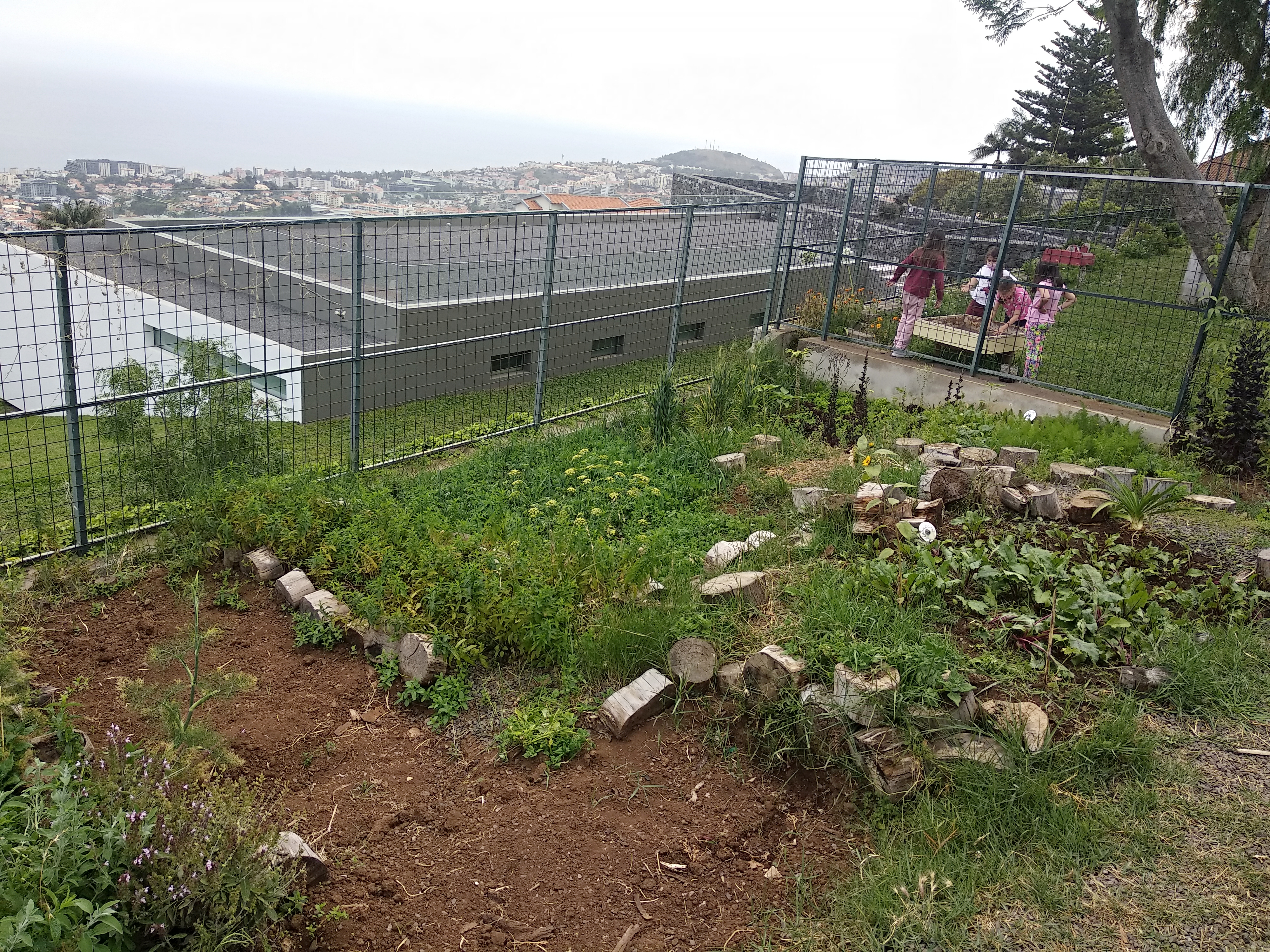 Vista panoramica de horta. Depois da recolha dos legumes os espaços  vagos serão novamente cultivados para o ano.