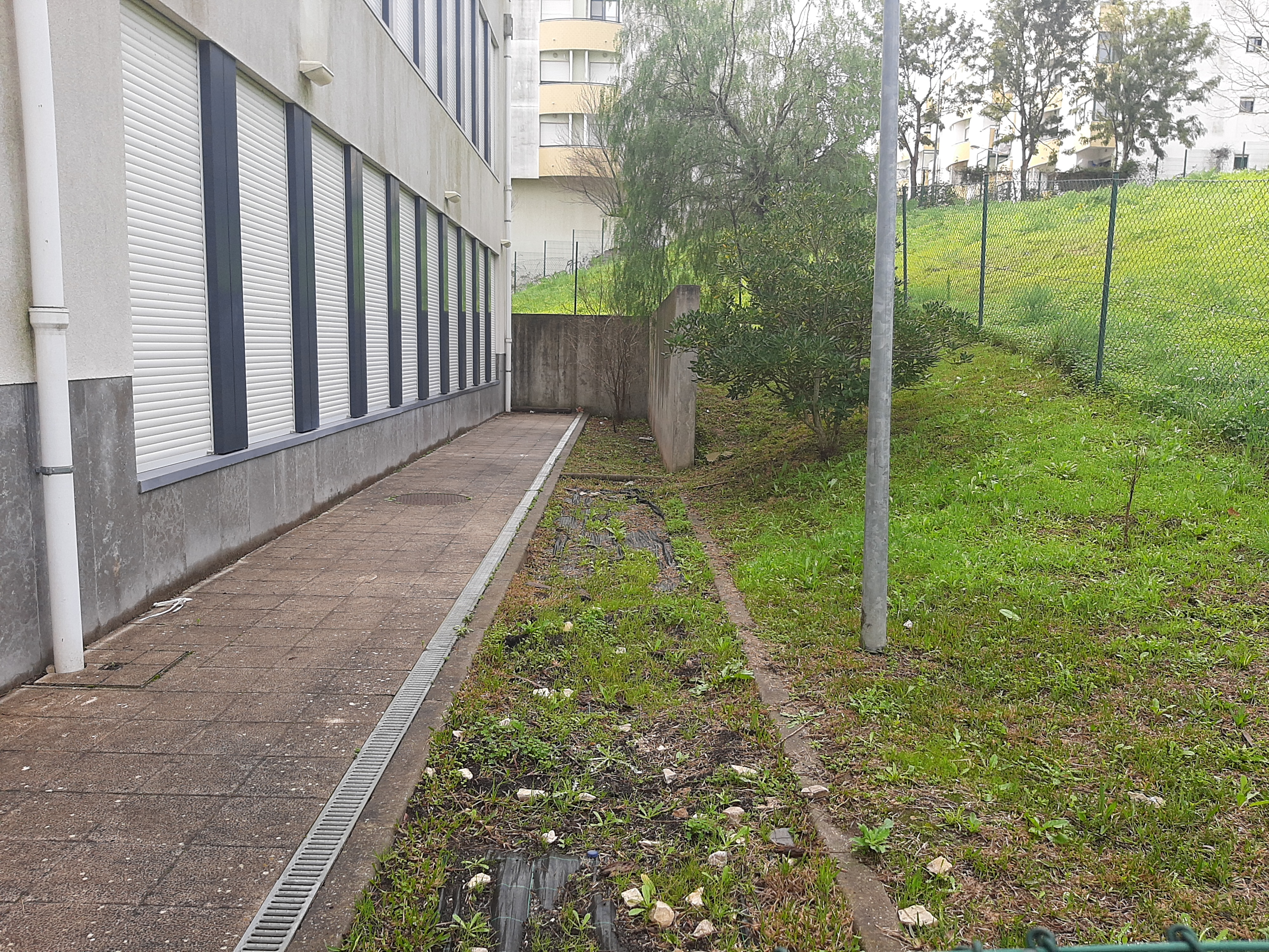 Espaço destinado à Horta, que fica junto do edifício do 1.º Ciclo. Vai ser preparado, com a parceria da Junta de Freguesia da Castanheira do Ribatejo e Cachoeira, durante o período que estivermos em E@D.