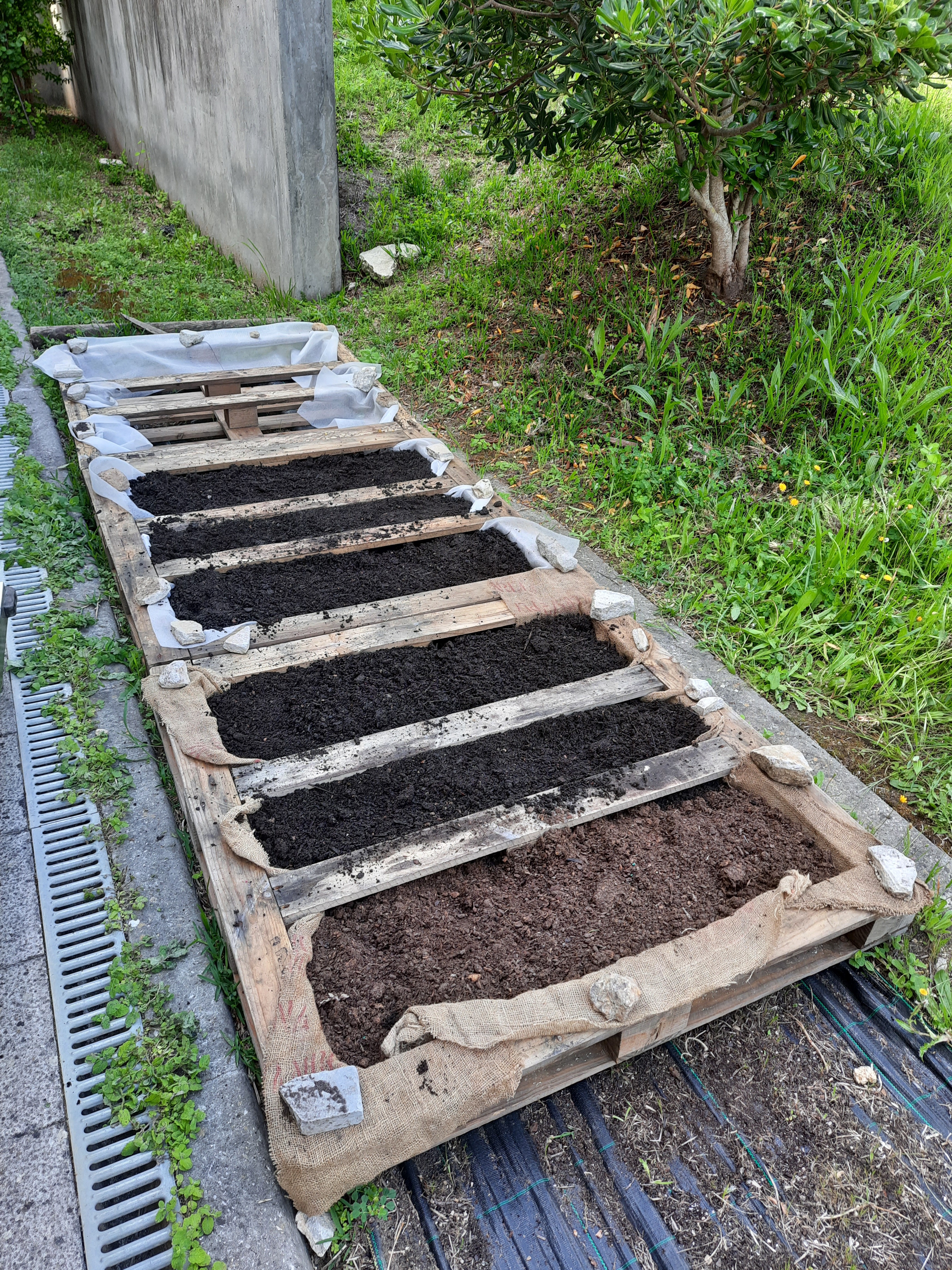 Revestimento das paletes de madeira e enchimento com terra adequada para semear e plantar.