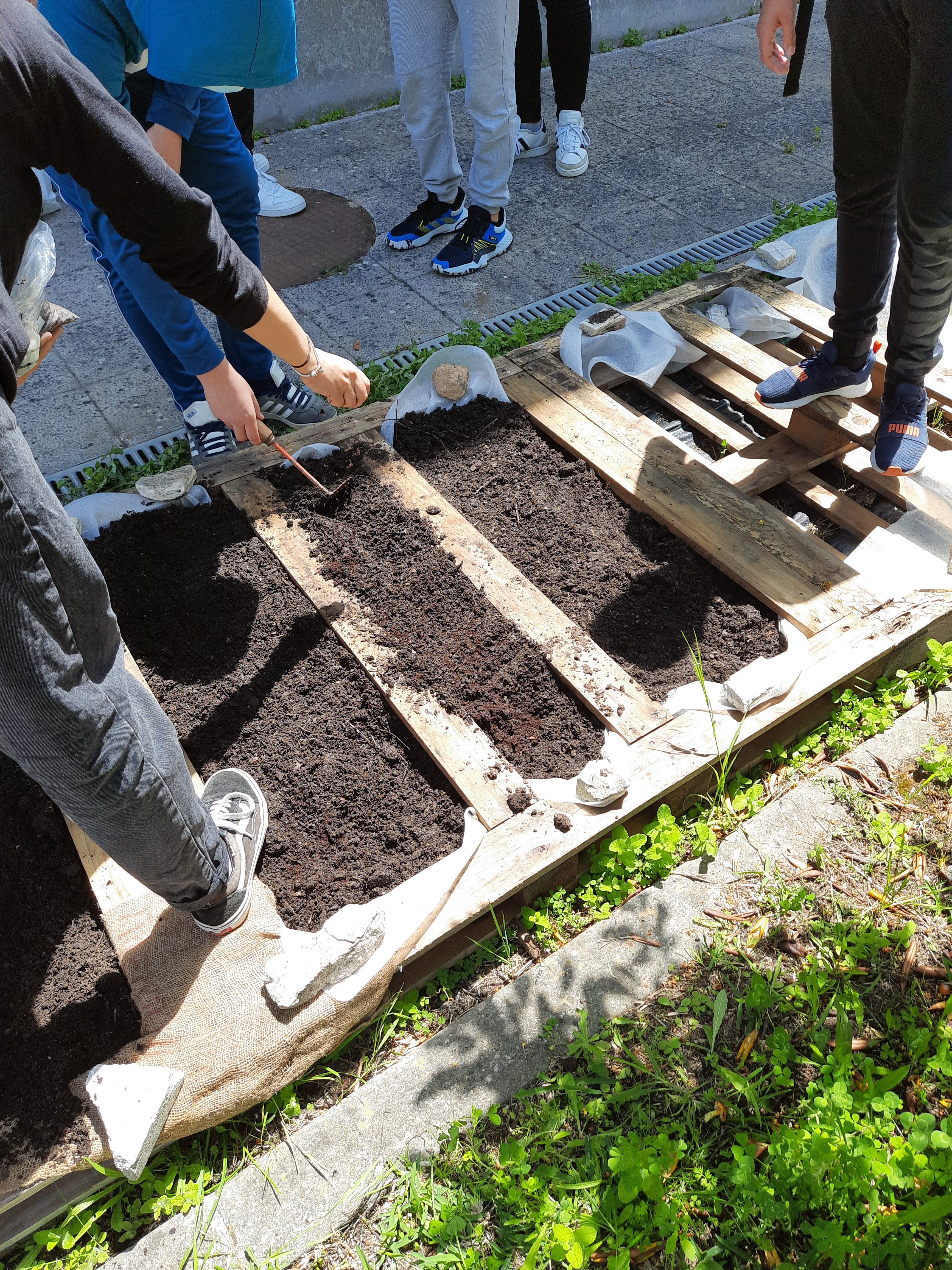 Os alunos da  turma 7.ºB ajudaram a fertilizar a terra com borras de café, semearam e plantaram  coentros, salsa, hortelã, manjericão, cebolinho e courgette.
