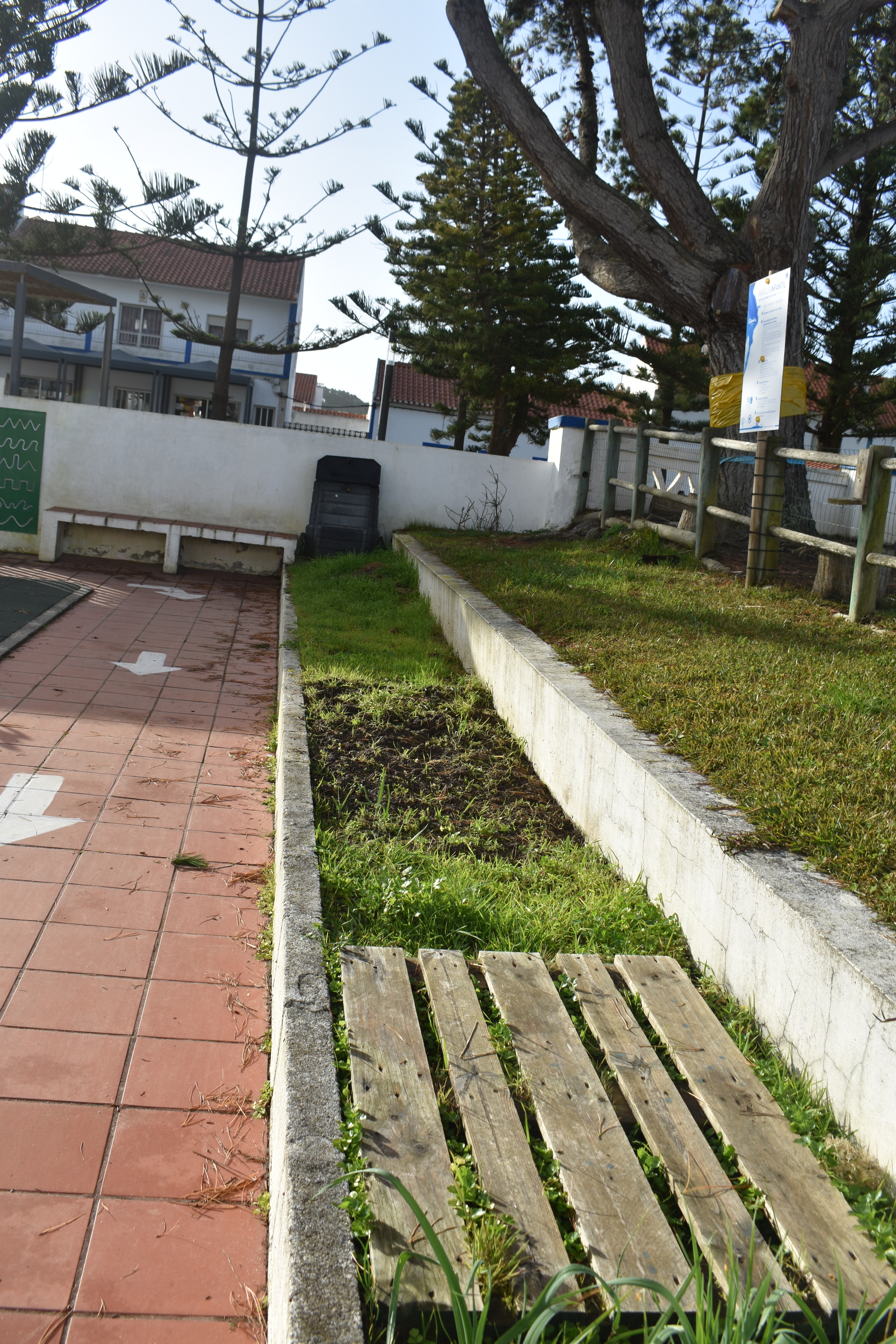 Os canteiros do Jardim de Infância!