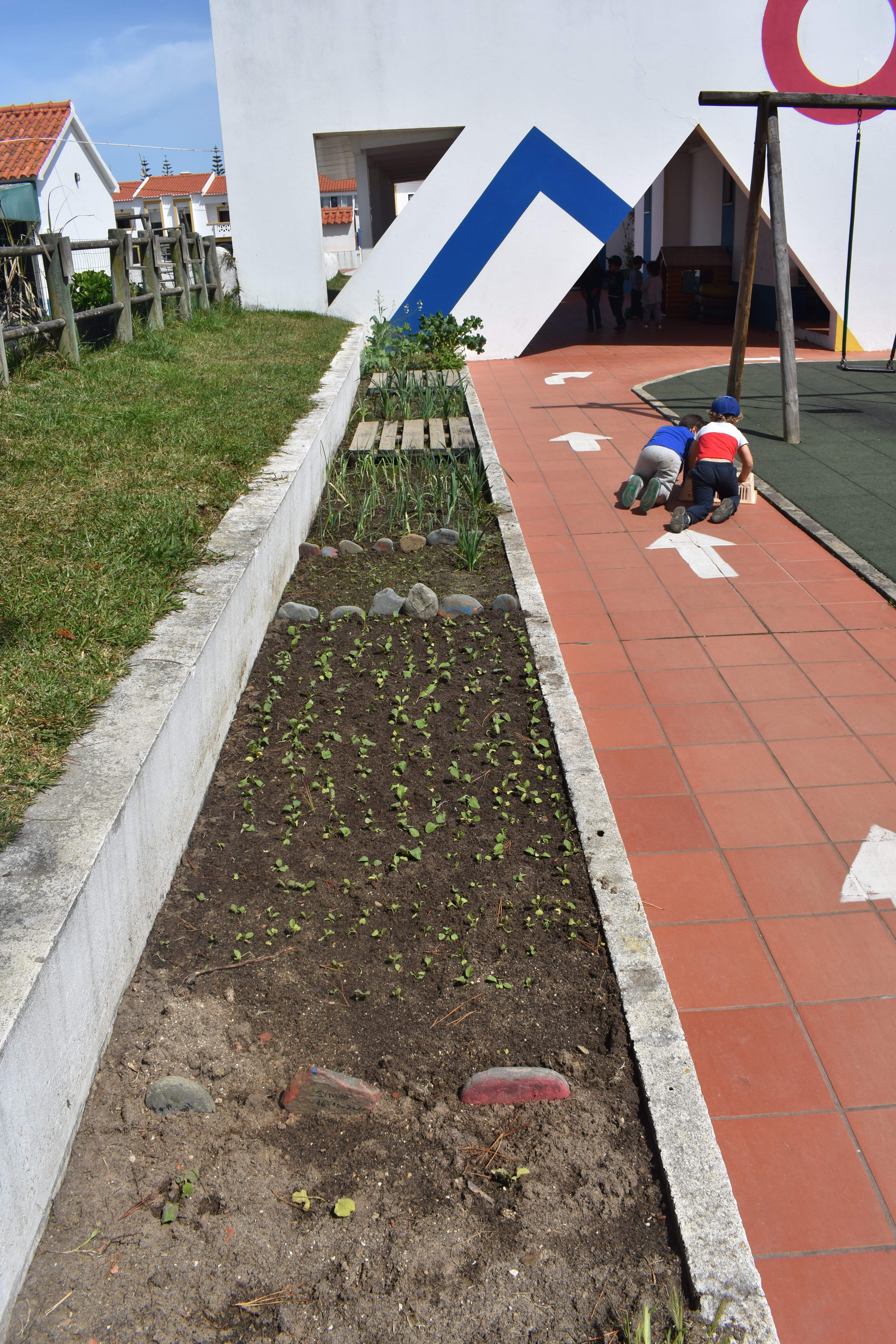Plantações no J.Infância.