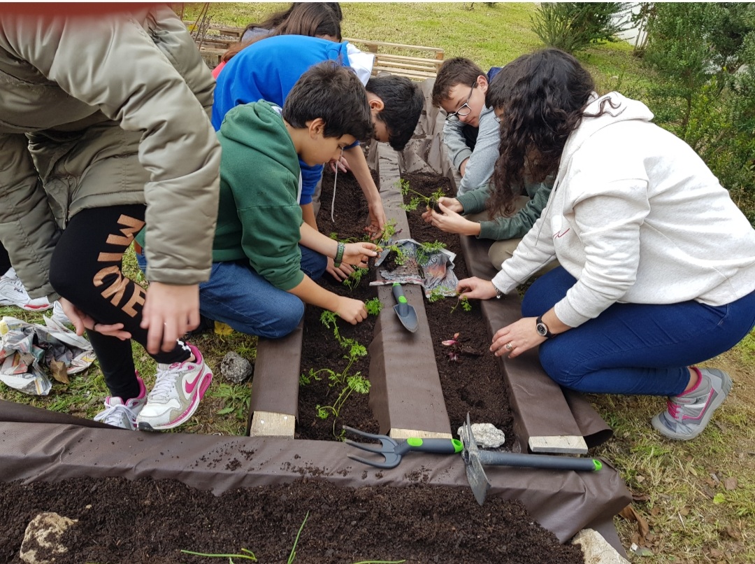 Nova Plantação