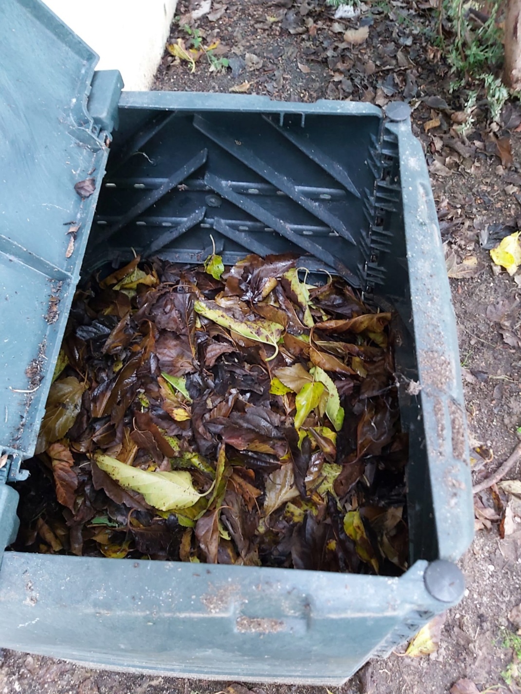 Aproveitamento da limpeza da horta para o compostor