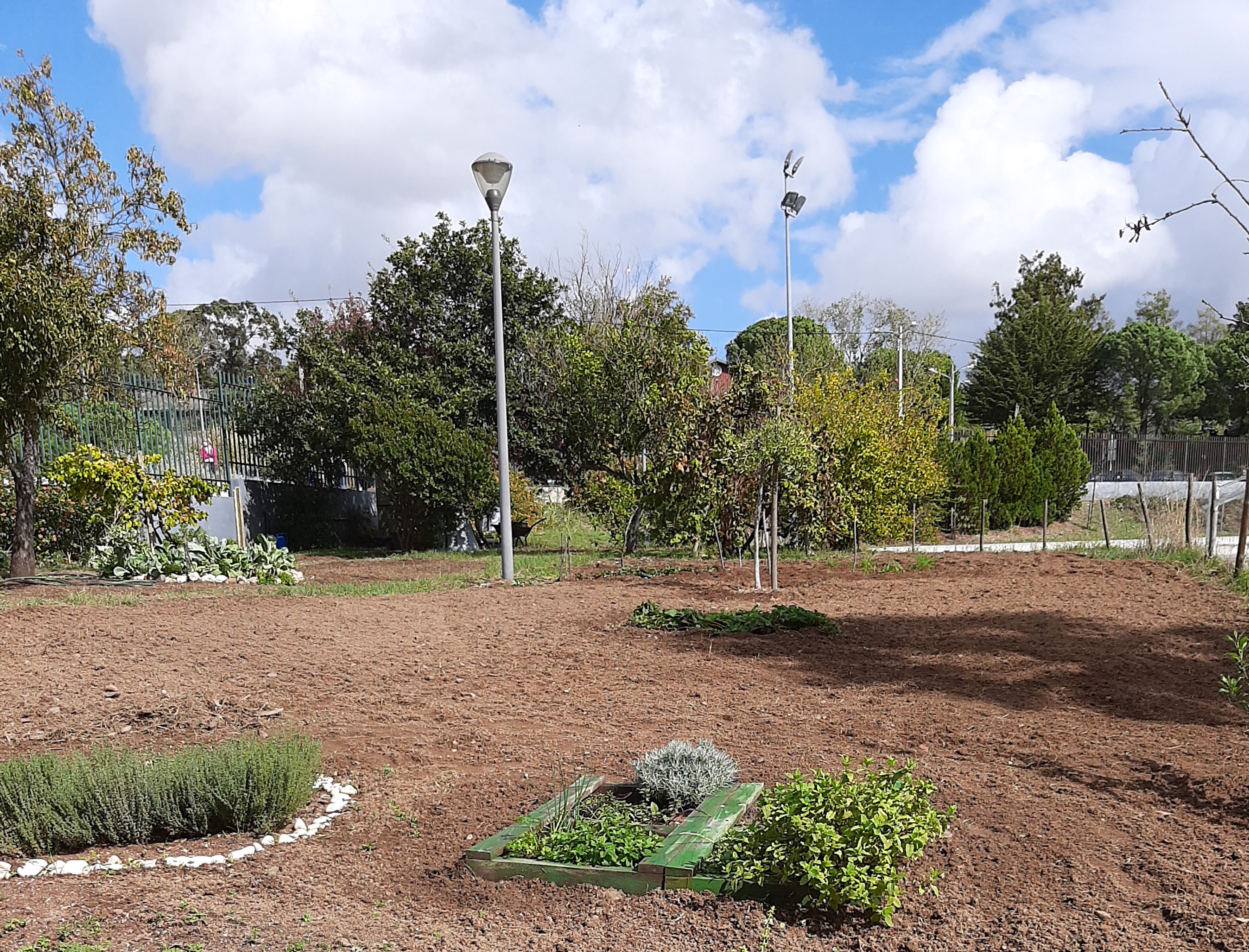 Visão alargada do terreno para cultivo