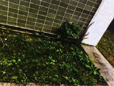 Canteiro das Ervas aromáticas da Eco-Escola ESEL (fase 1) - canteiro situado na parte lateral do refeitório da ESEL no edifício da residência dos estudantes. Tem ervas, uma roseira e um molho de jarros brancos.