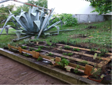 Terreno na etapa II- Colocação das plantas - Vista geral do canteiro das paletes com as ervas aromáticas
