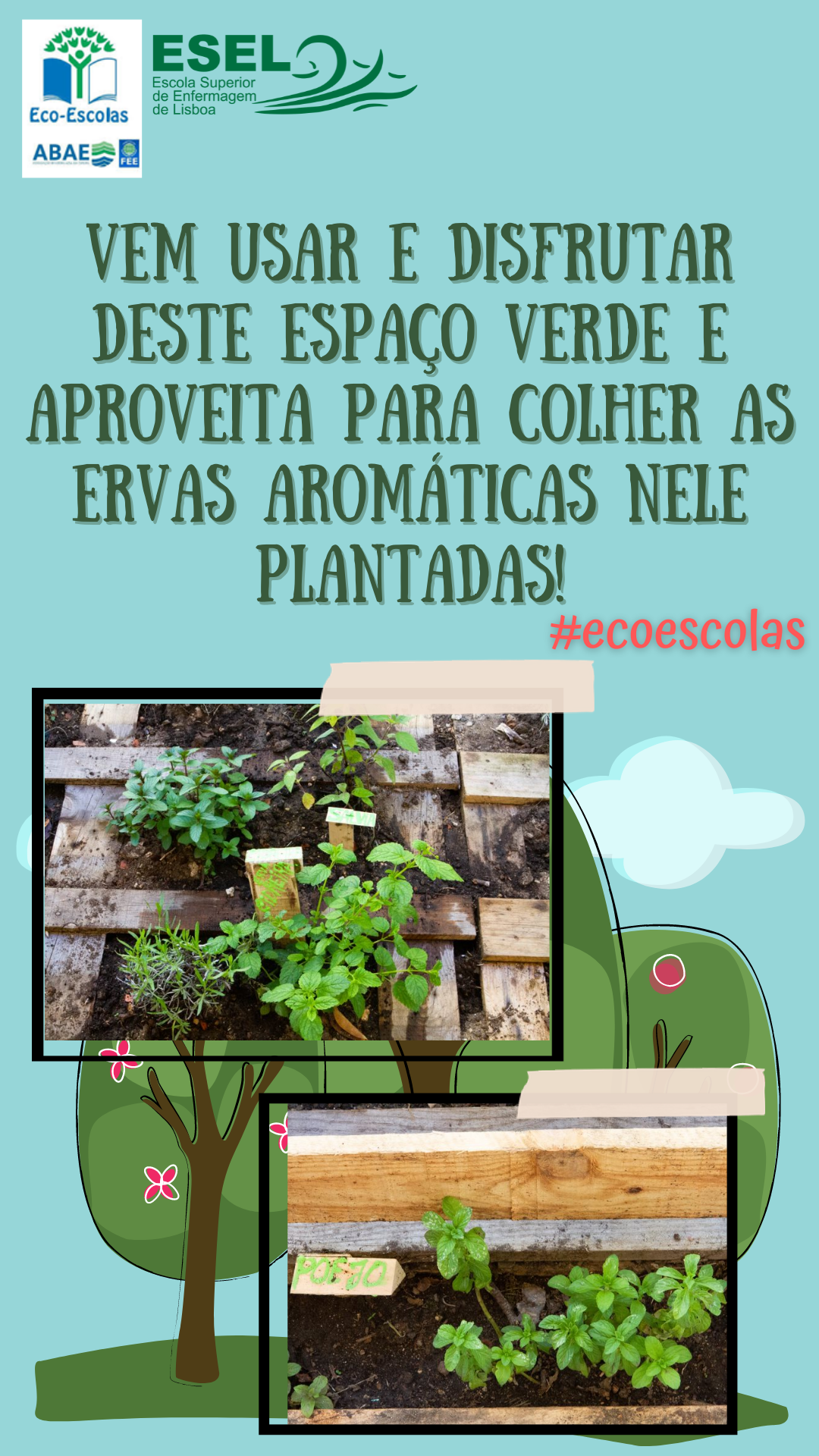 Divulgação das horta da Ervas Aromáticas promovida pelas alunas.