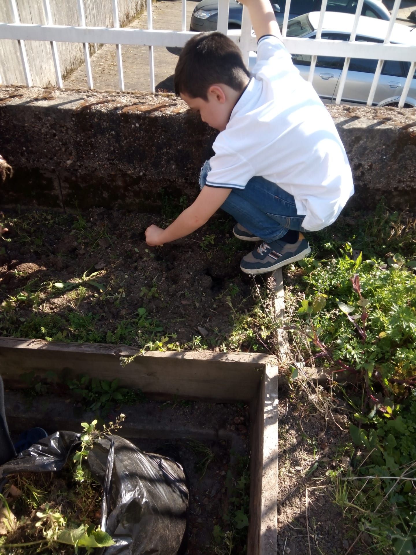 Preparação e limpeza do espaço para Horta Bio.