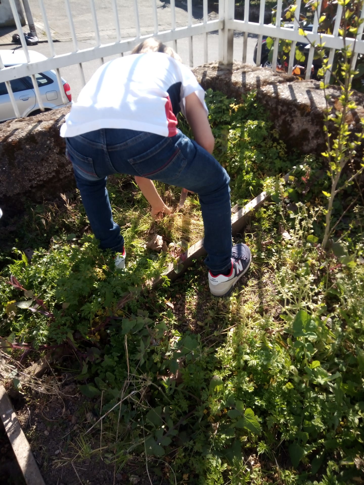 Preparação e limpeza do espaço para Horta Bio.
