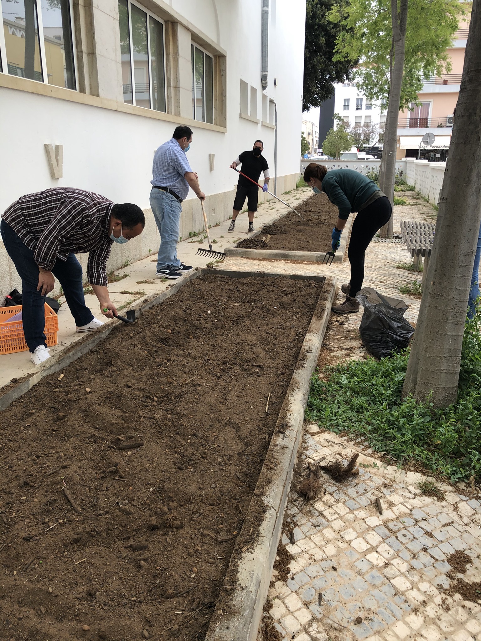 Preparação do Terreno