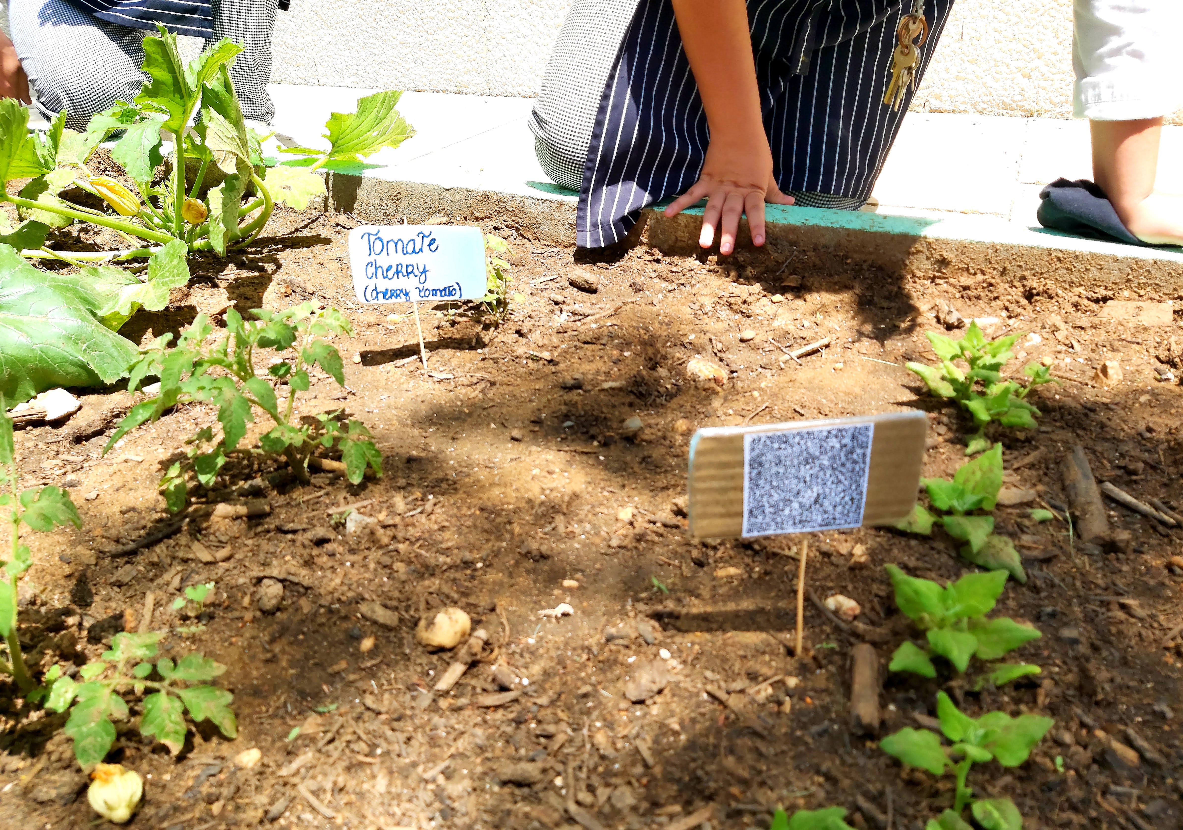 Colocação de Placas identificadoras com QR code (informação sobre a planta e receitas)