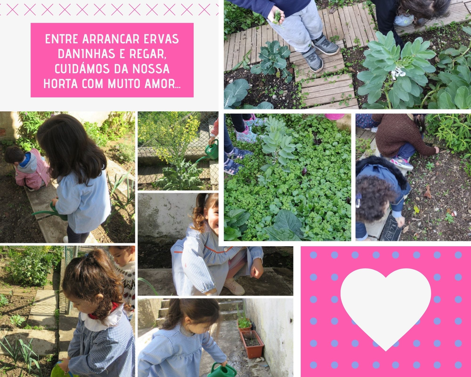 CUIDAR DA HORTA COM AMOR

Entre arrancar ervas daninhas e regar, cuidamos da nossa horta com muito amor!