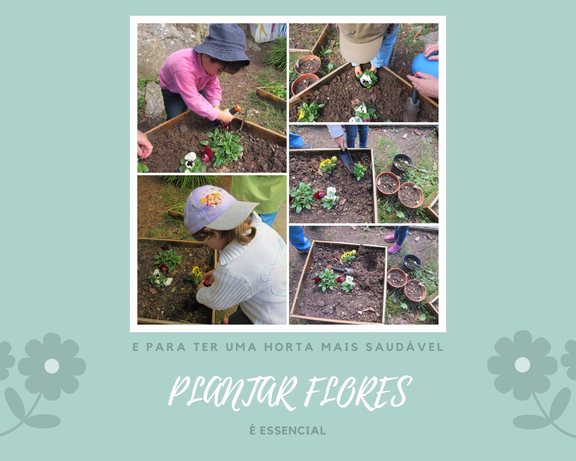 FLORES!!!

E para ter uma horta mais saudável, plantar flores é essencial!