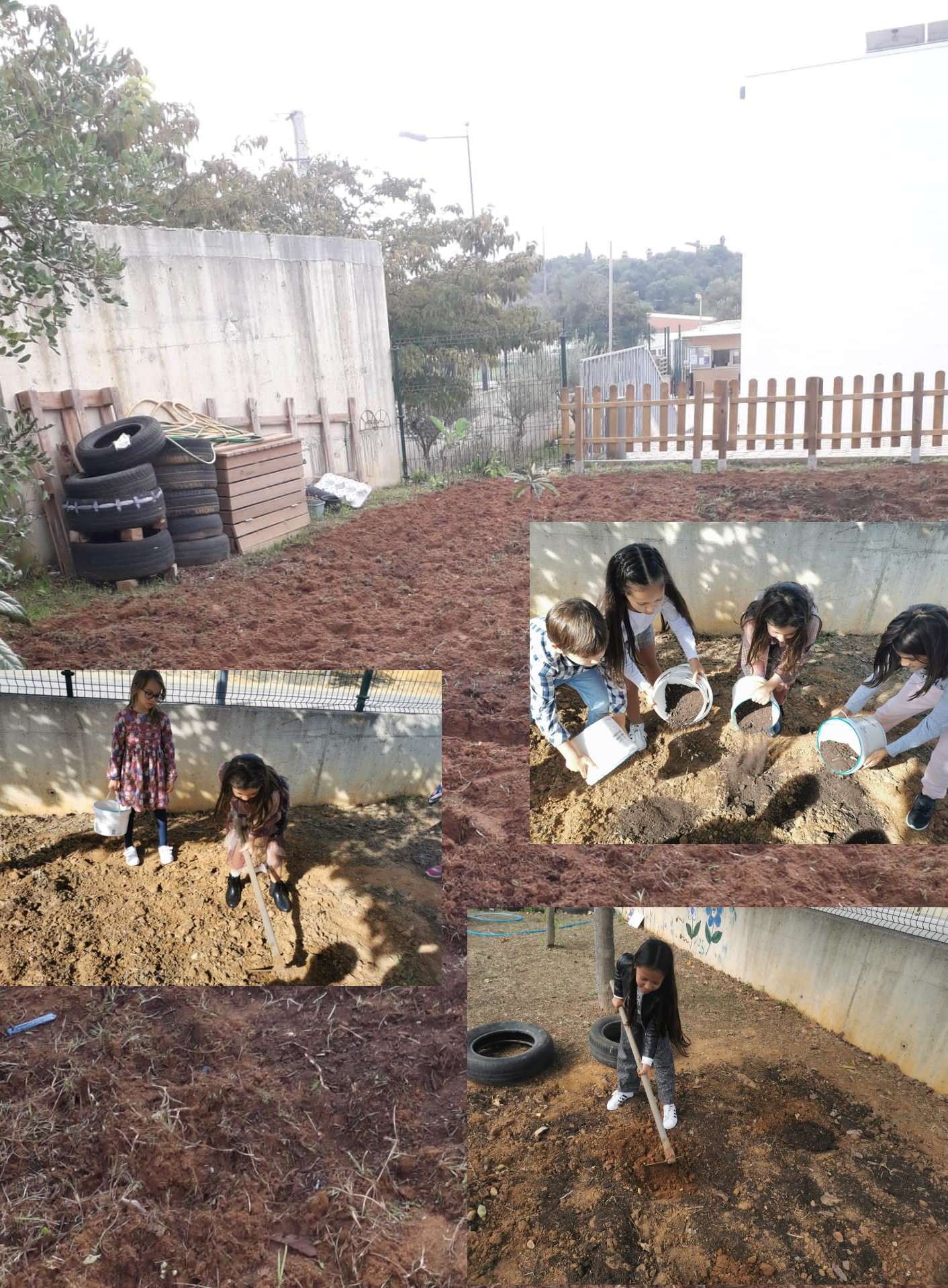 Início - Preparação dos terrenos (limpeza do solo) realizado pelos vários elementos (professores e alunos).