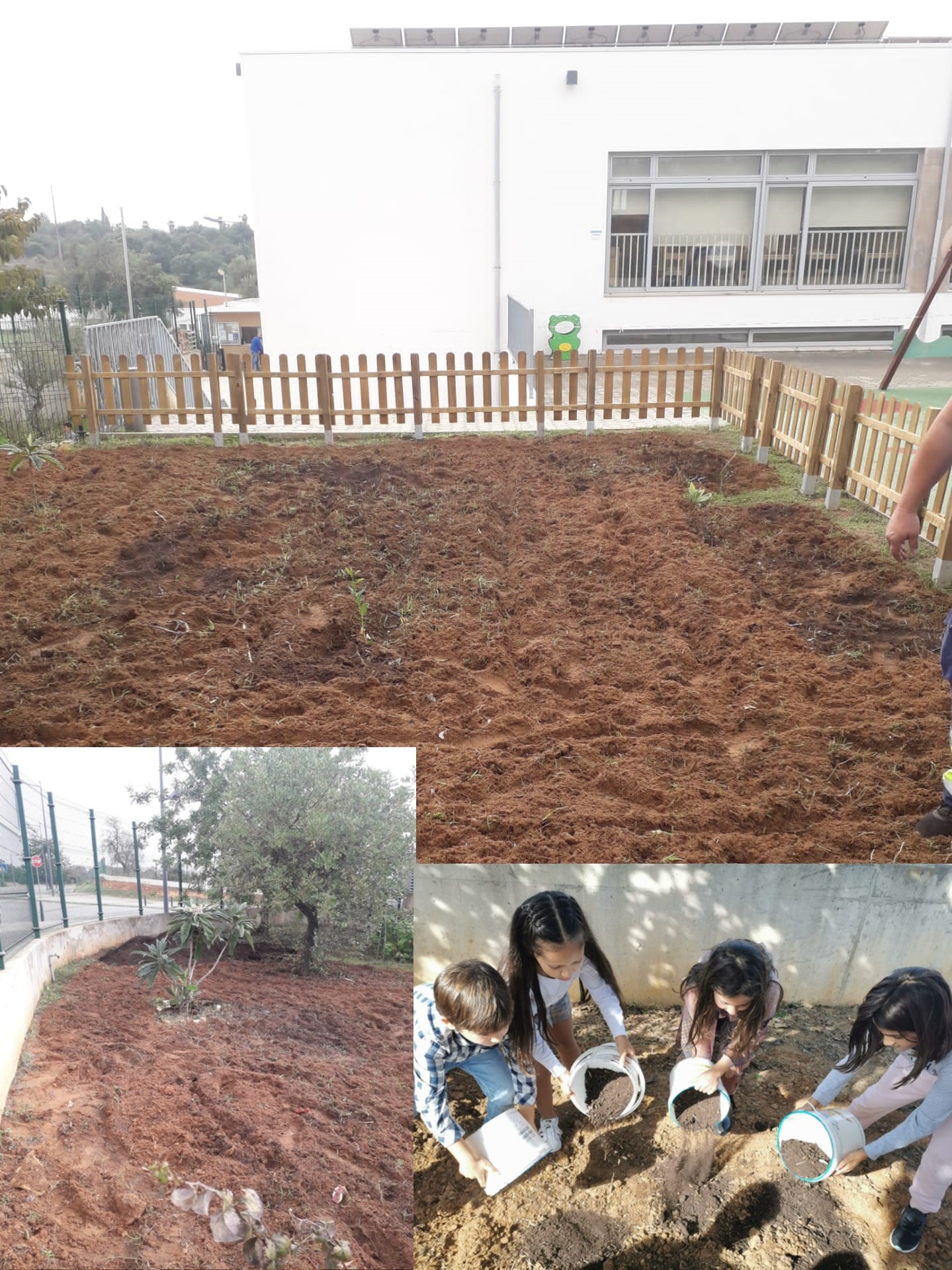 Início - Preparação dos terrenos (limpeza do solo)...