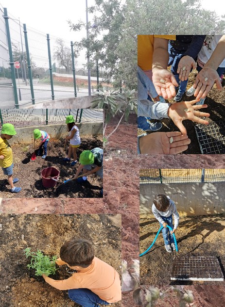 Início das plantações