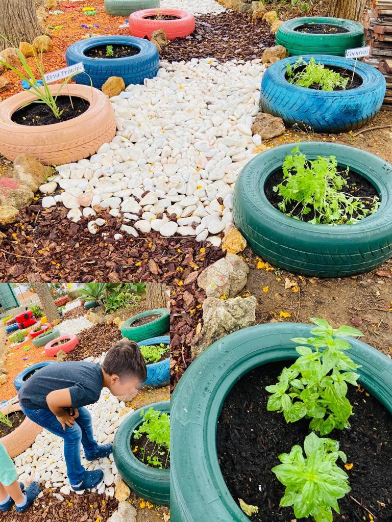 Já temos algumas plantas =)