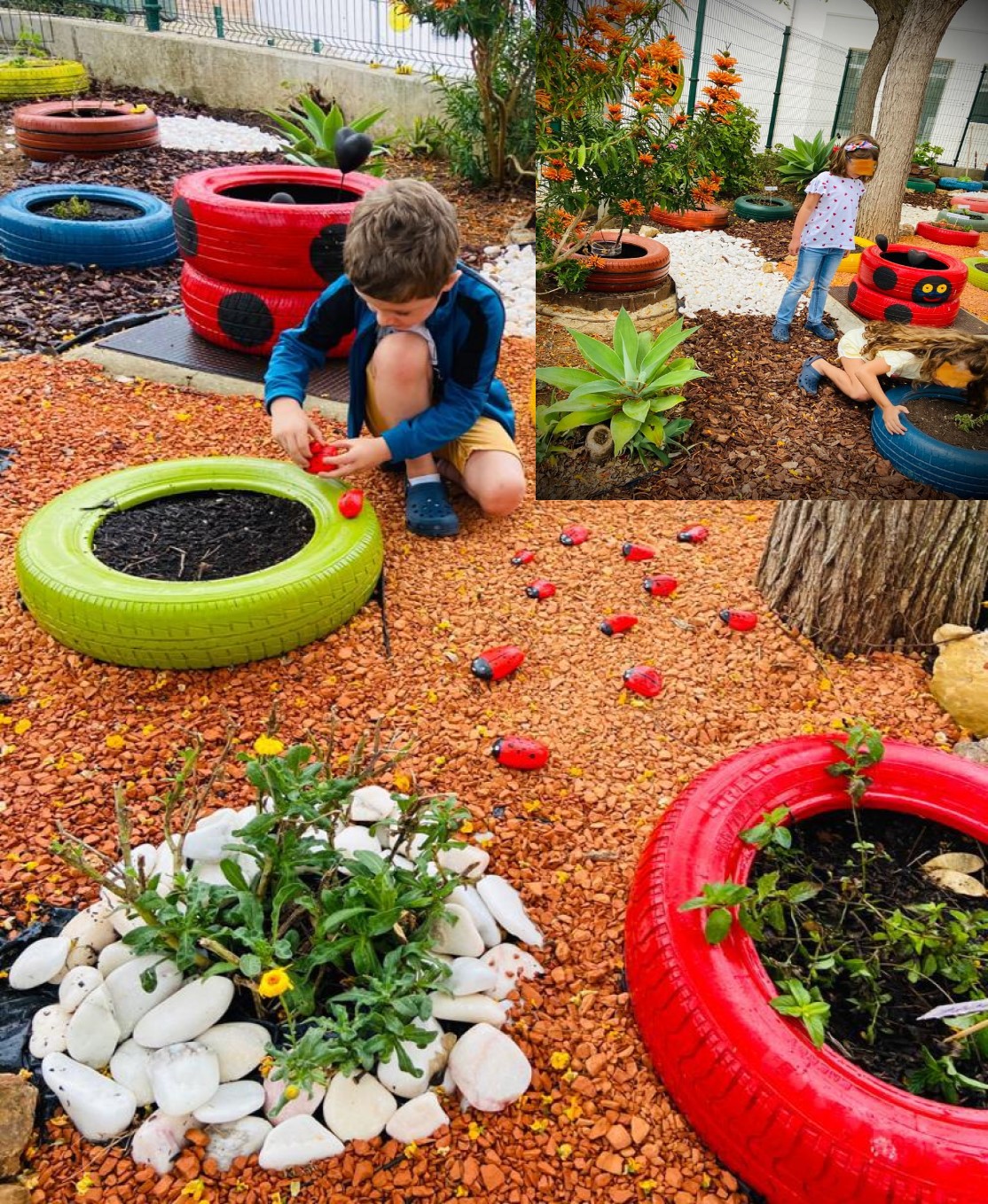 A nossa horta "Jardim de cheiros e emoções" tá cada vez mais colorida