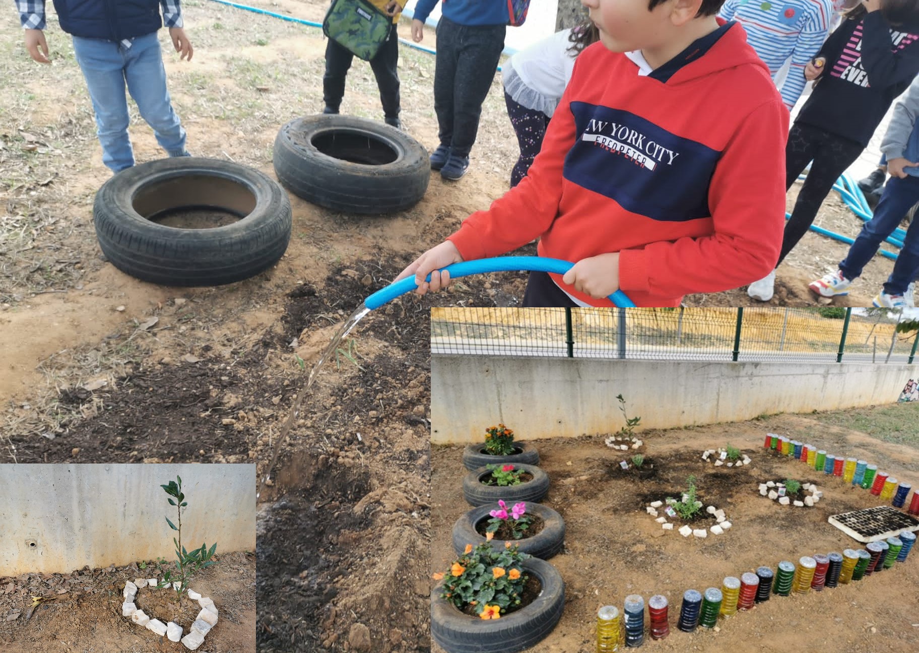 Temos de regar para as plantas crescerem