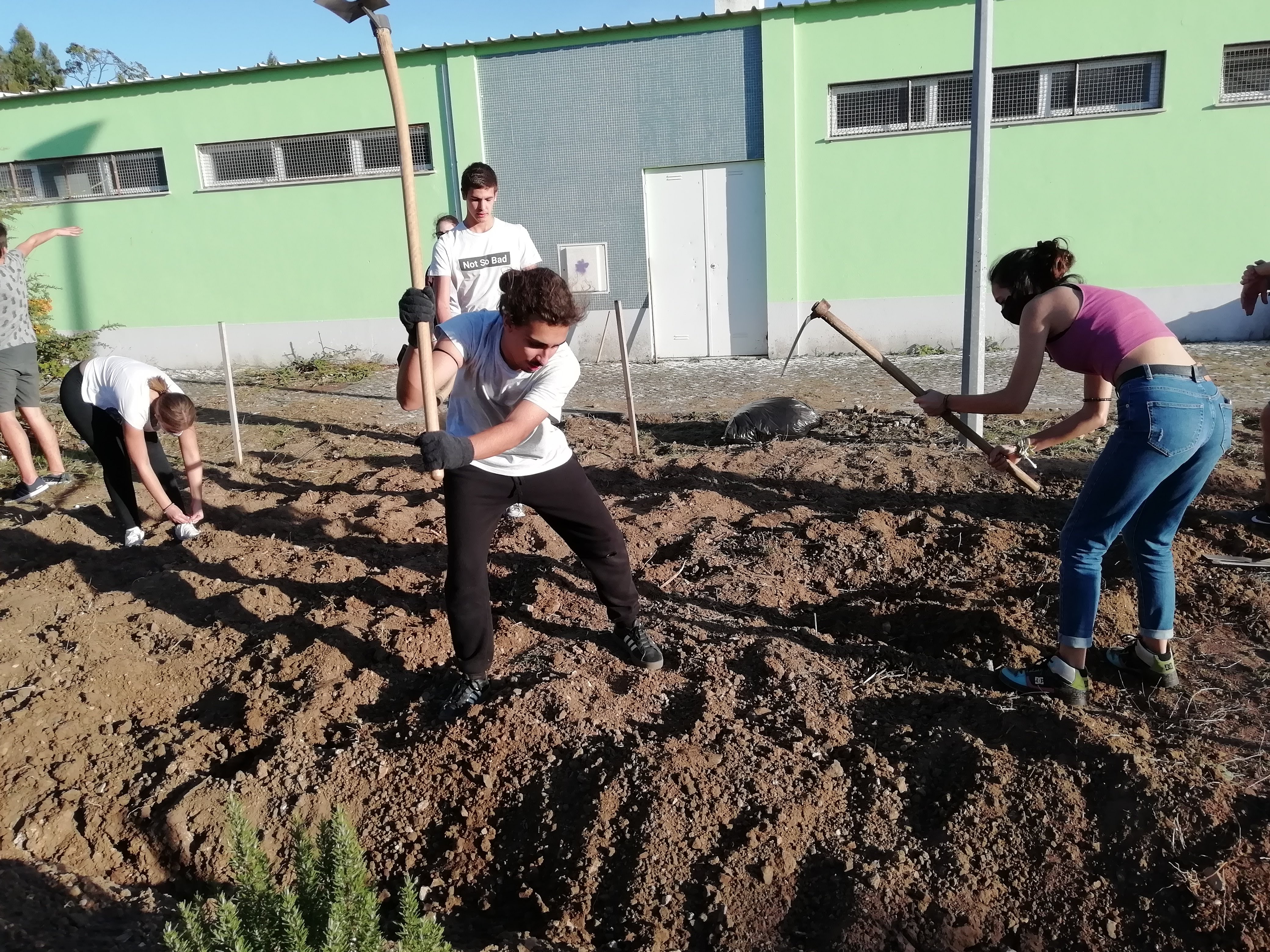 Trabalhos em outubro cava e fertilização com adubo orgânico