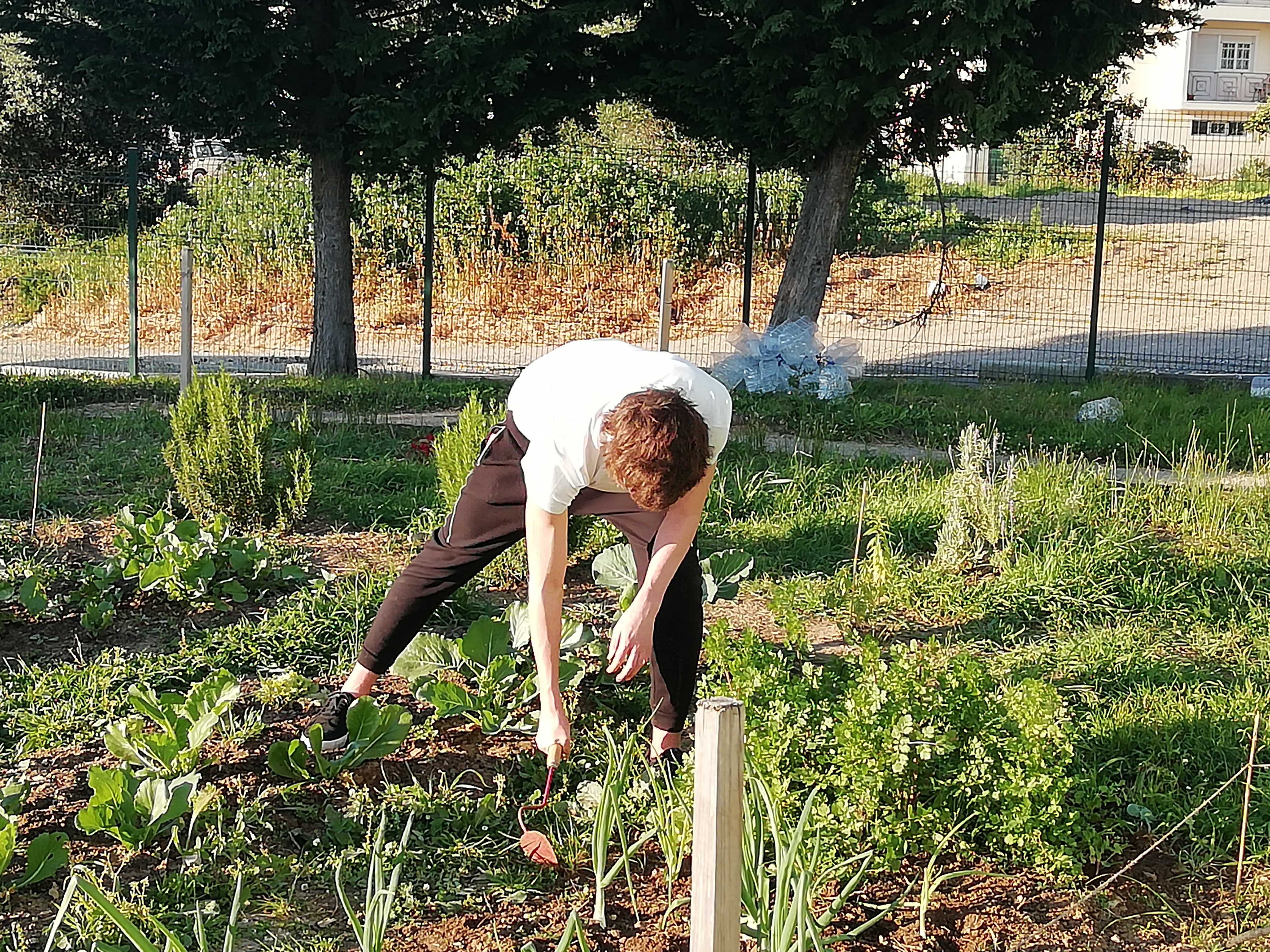 Monda e fertilização com alguns alunos