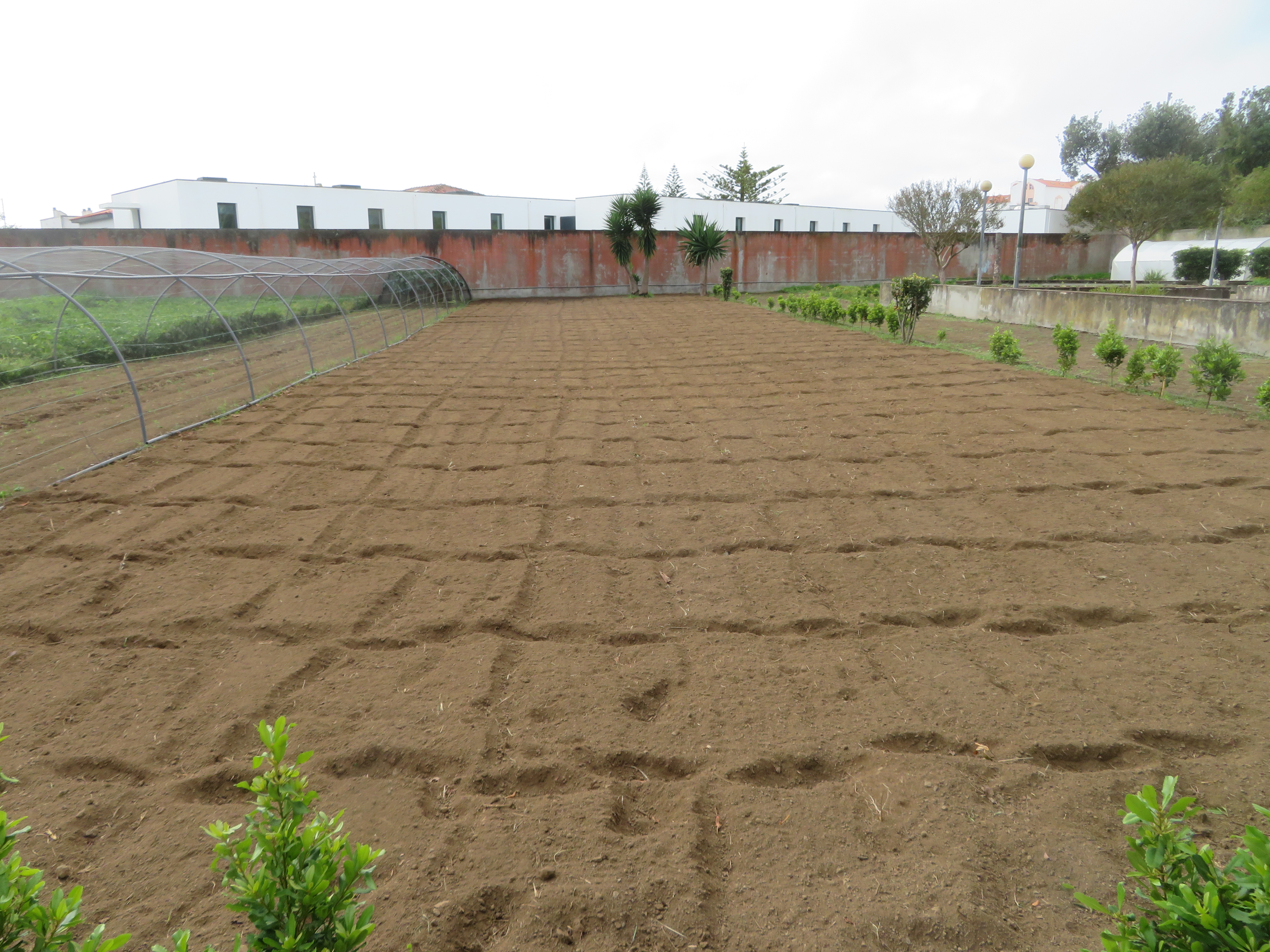 Canteiros preparados para o Clube de hortofloricultura da escola. Inicialmente foram abertas as inscrições para professores, assistentes e alunos.