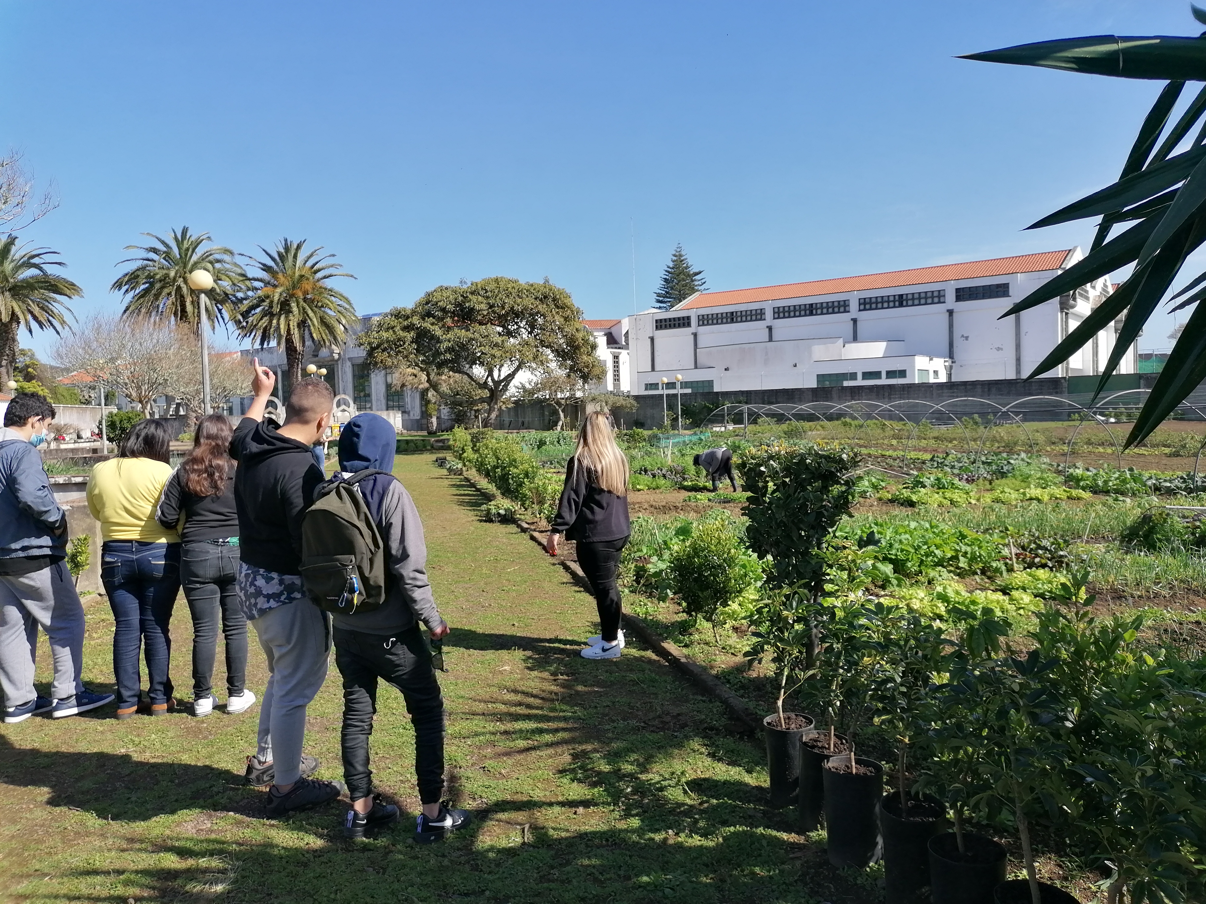 Visita a horta.