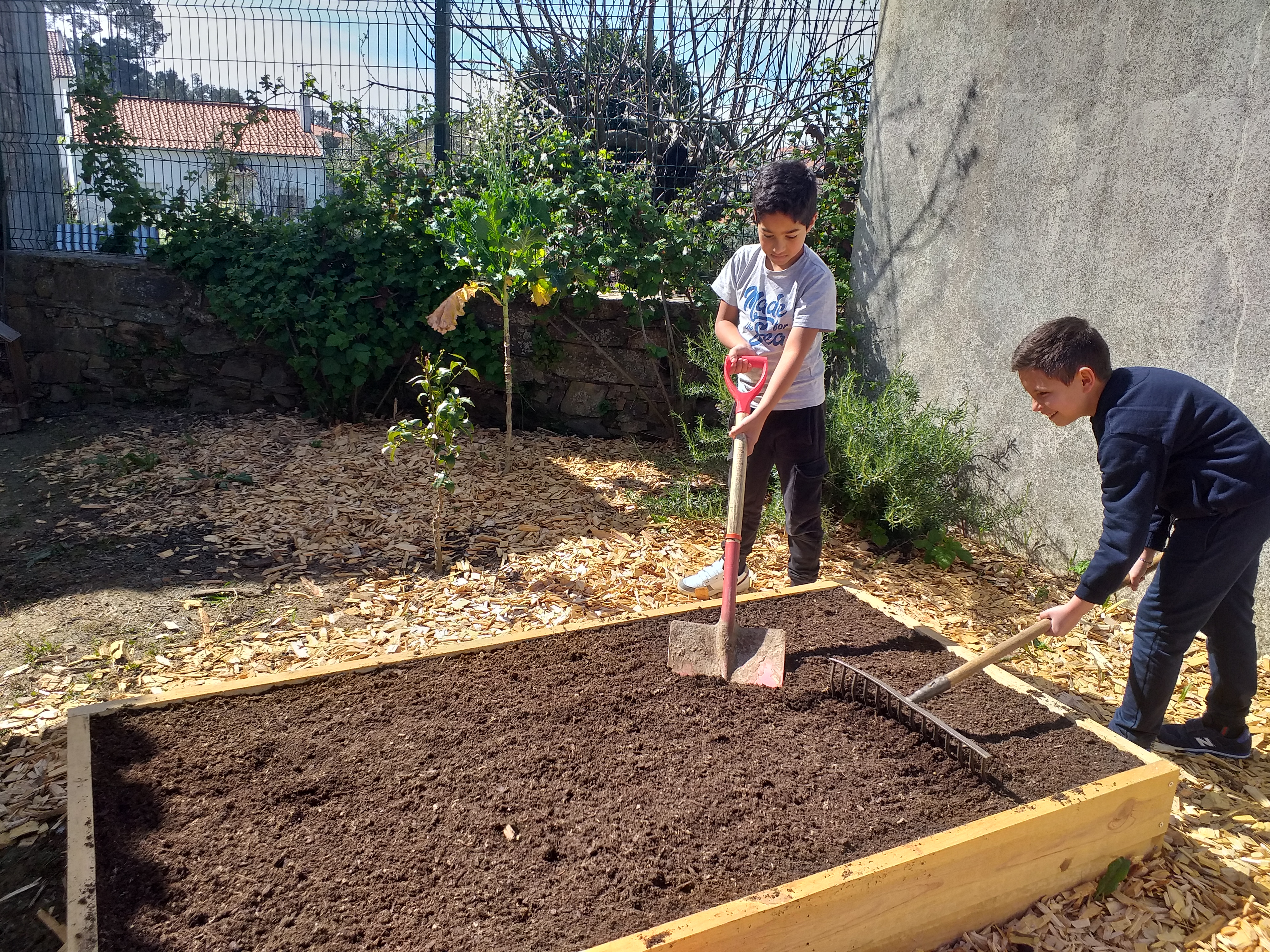 Enchimento dos tabuleiros
Os tabuleiros foram cheios com terra. À volta foram espalhados bocadinhos de madeira para não deixar crescer ervas daninhas.