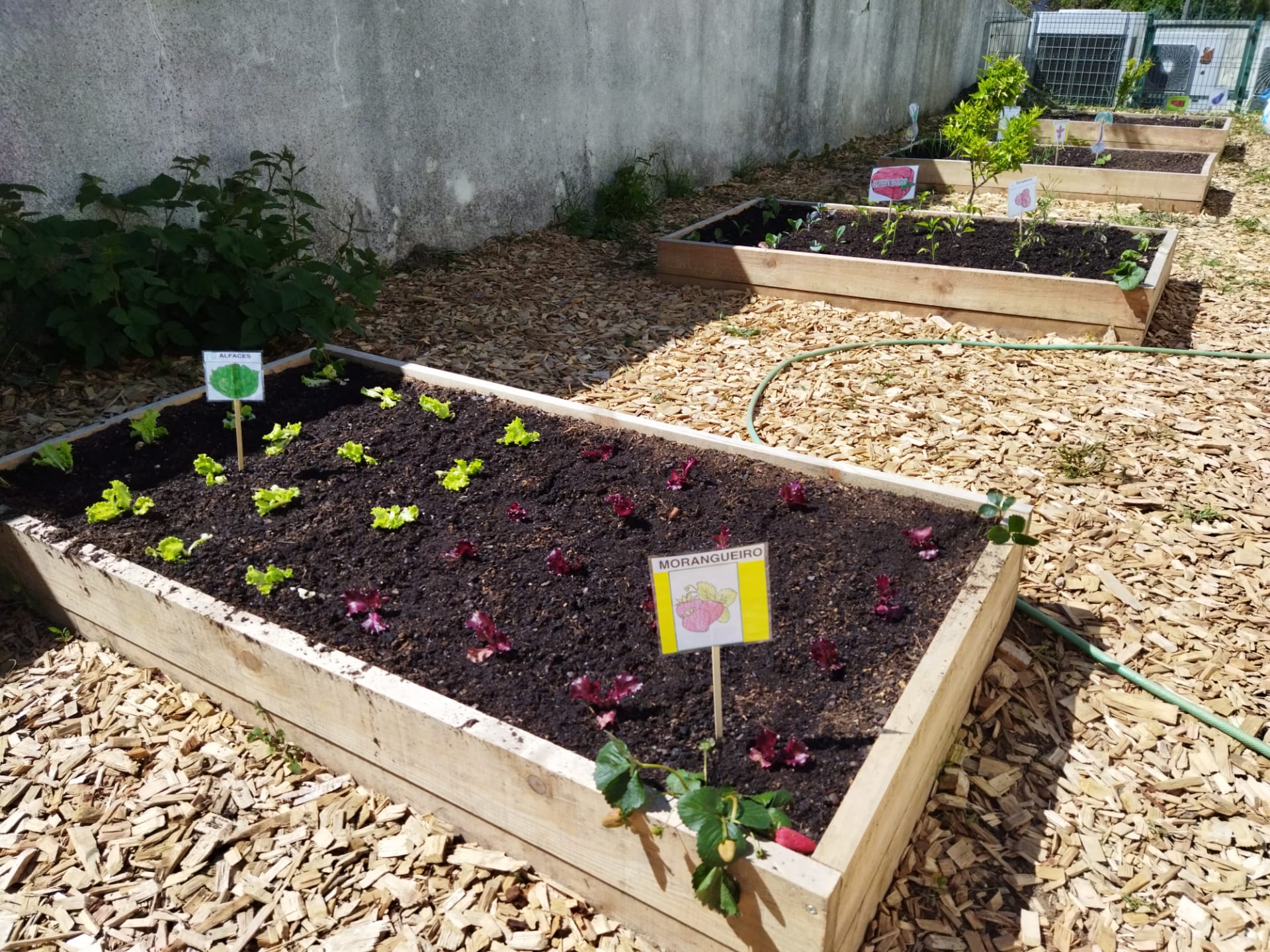 Plantação completa