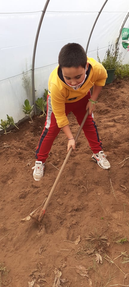 Limpeza da estufa