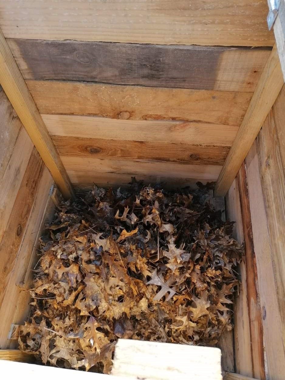 caixa de compostagem