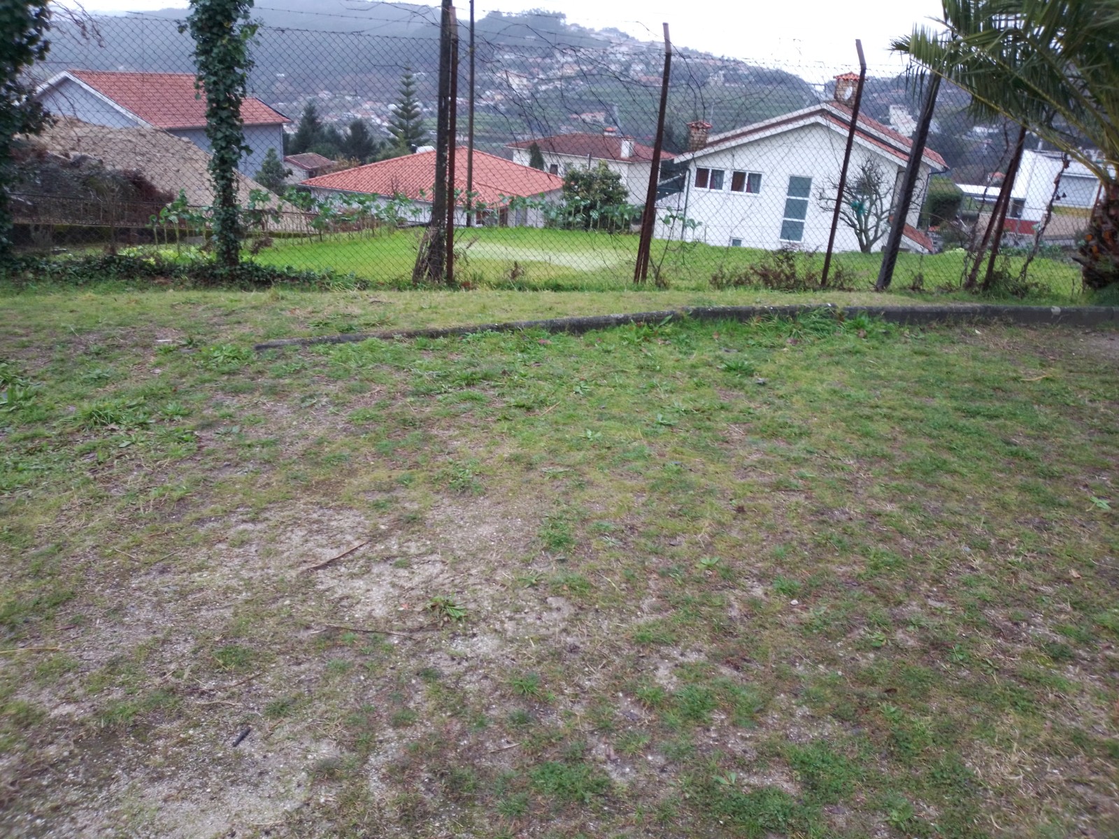Local escolhido para a horta.
