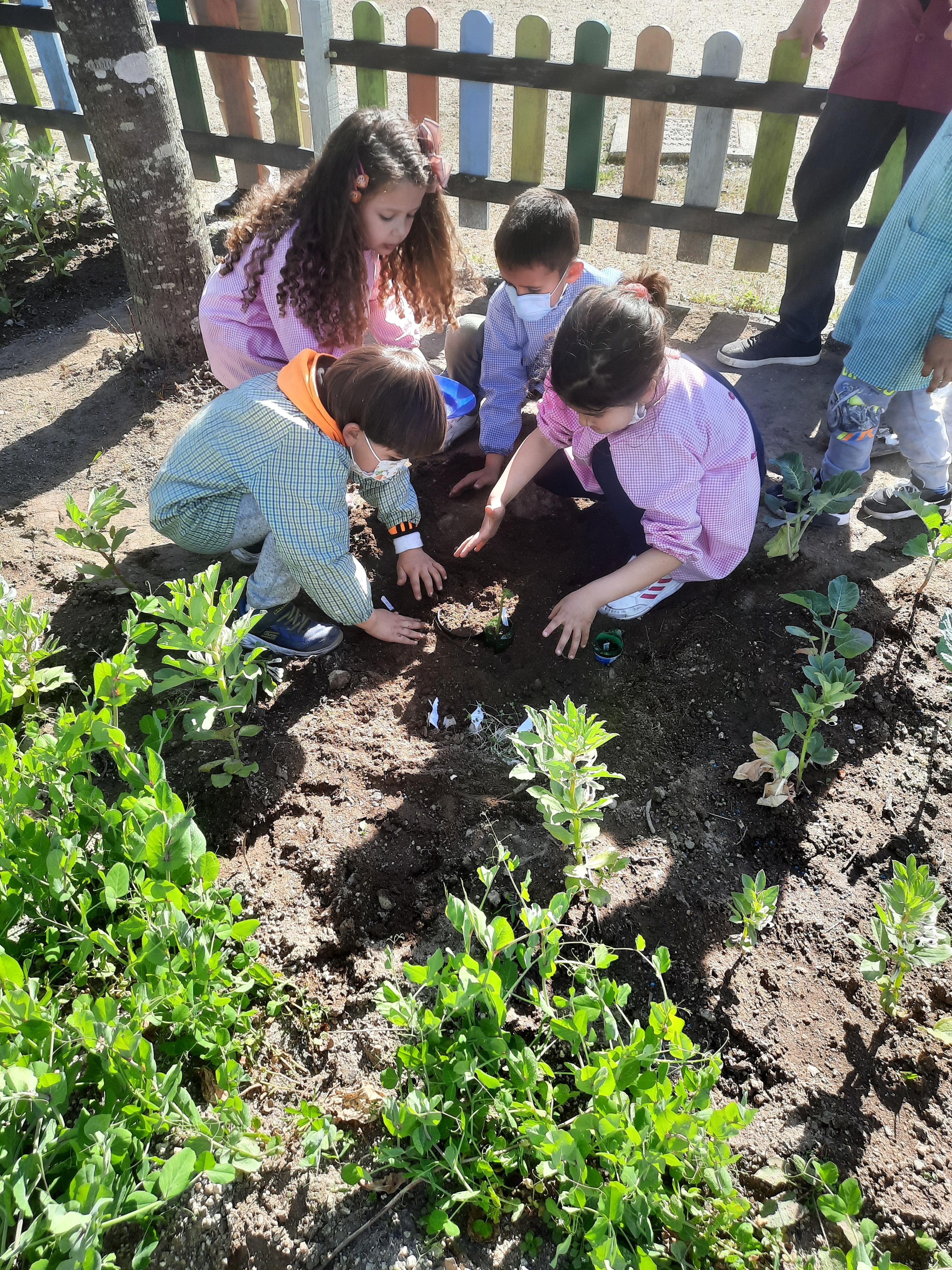 Um grupo de criança a fazer as plantações, ervas aromáticas, nabiças e cebolo.