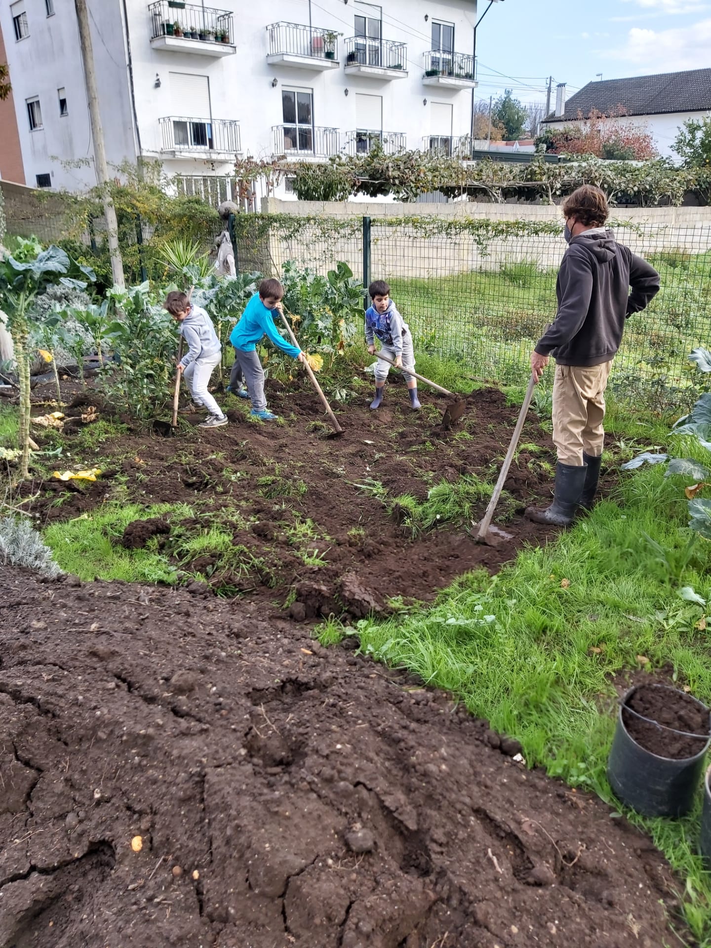 Preparar o terreno