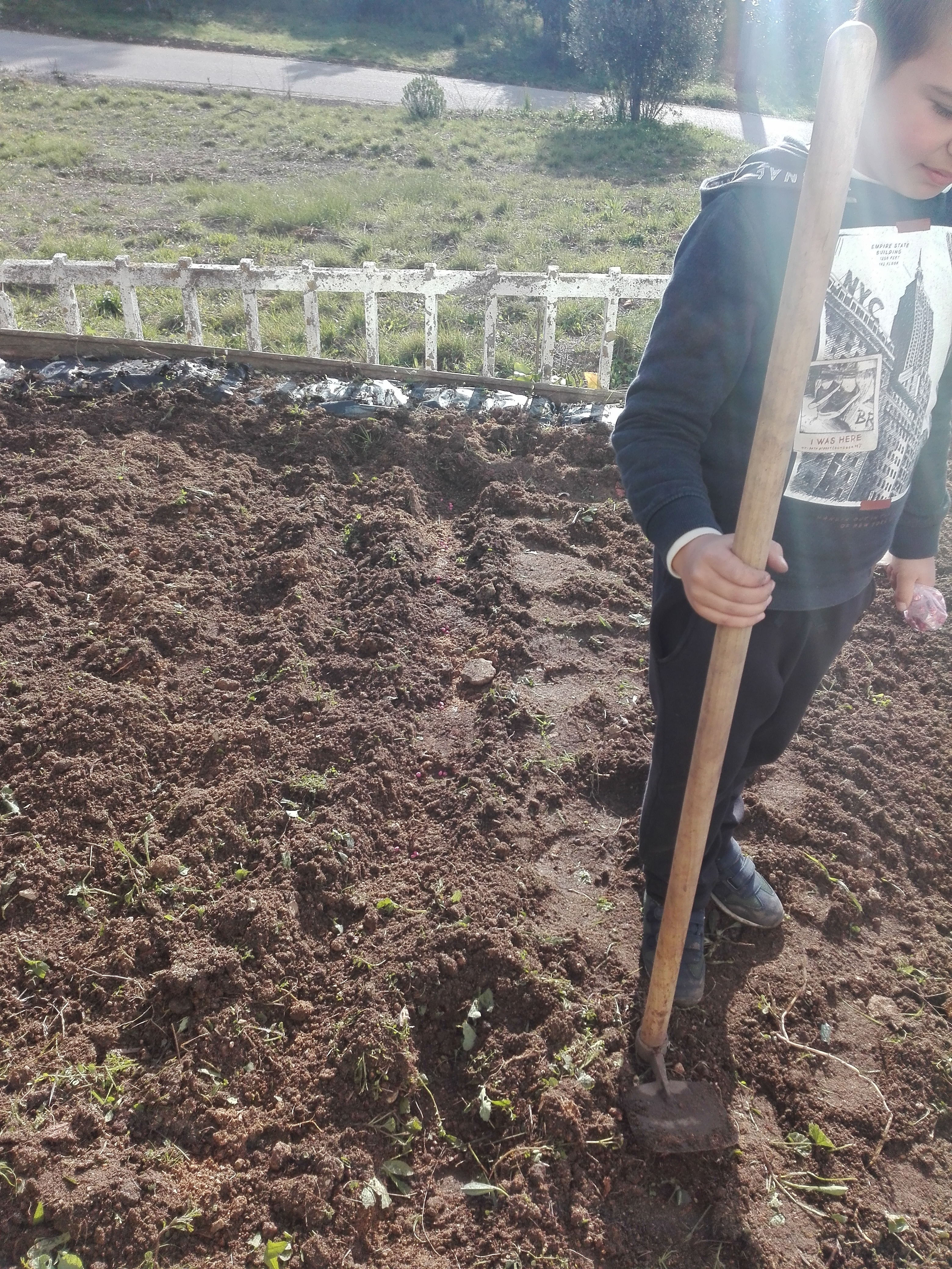 Preparação do terreno para cultivo